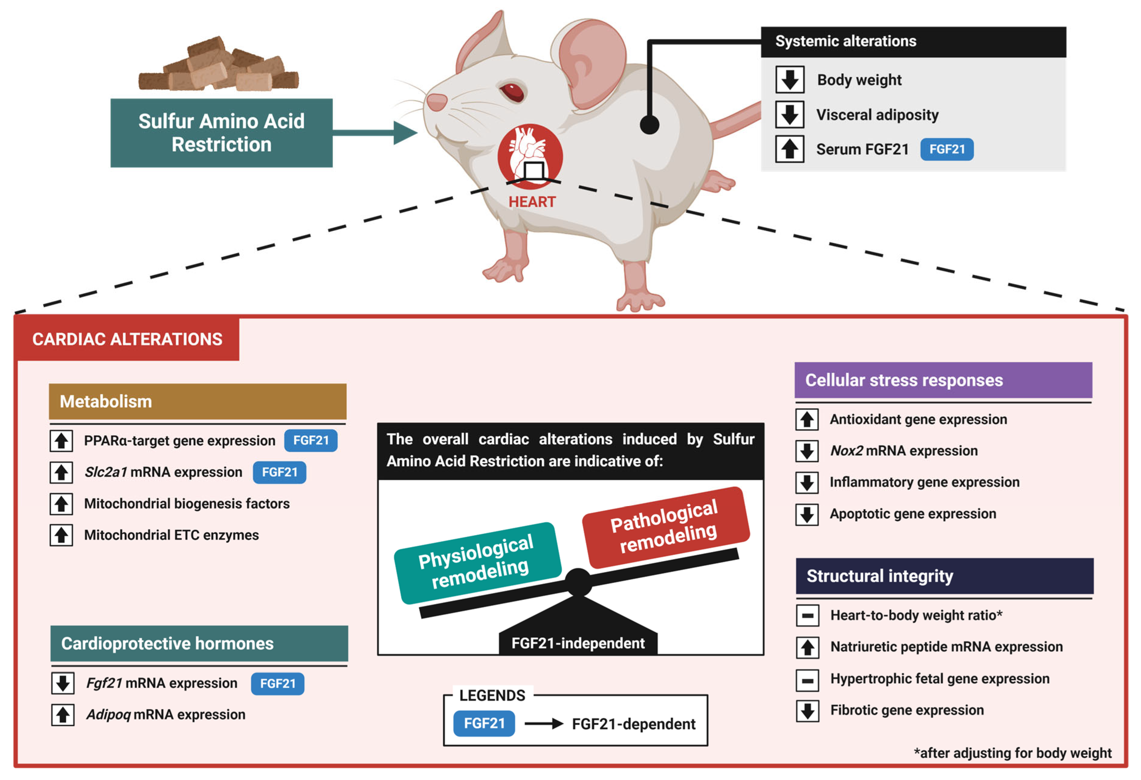 Nutrients 16 04347 g008
