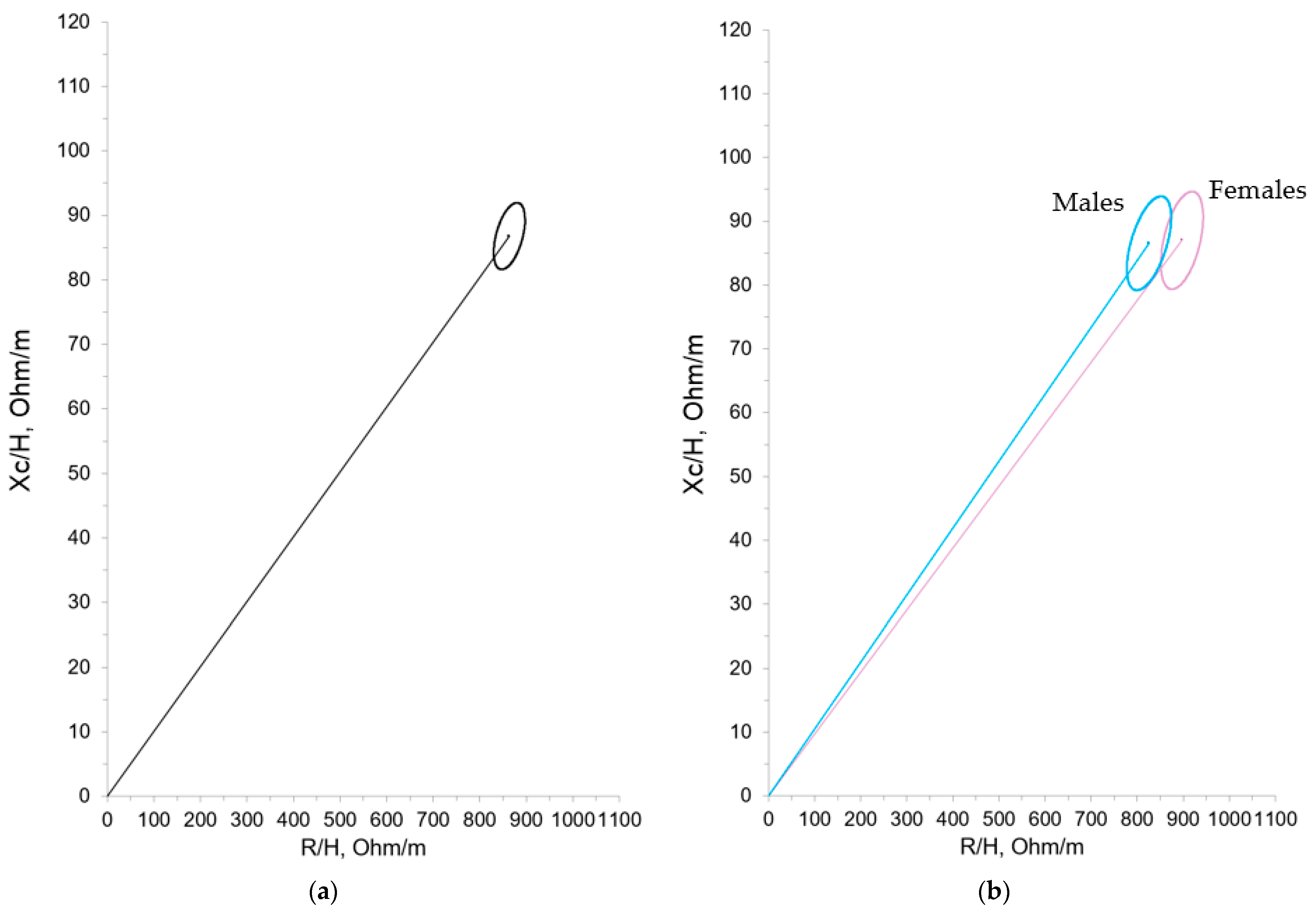 Nutrients 16 04348 g002