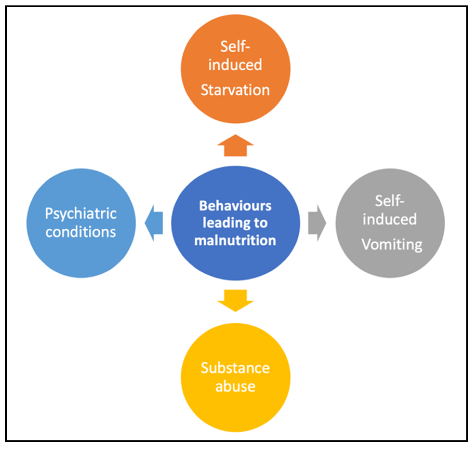 Nutrients 16 04354 g004