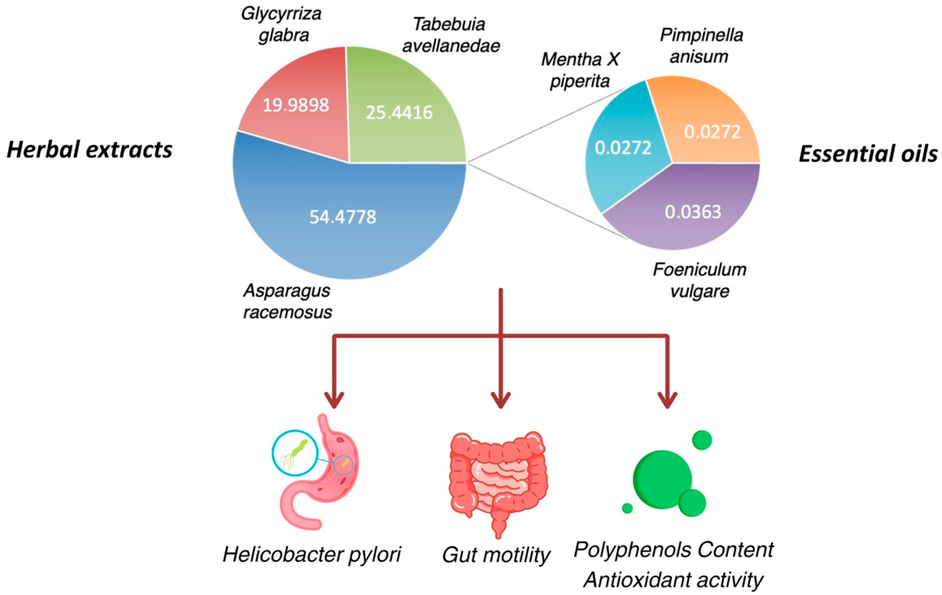Nutrients 16 04357 g001