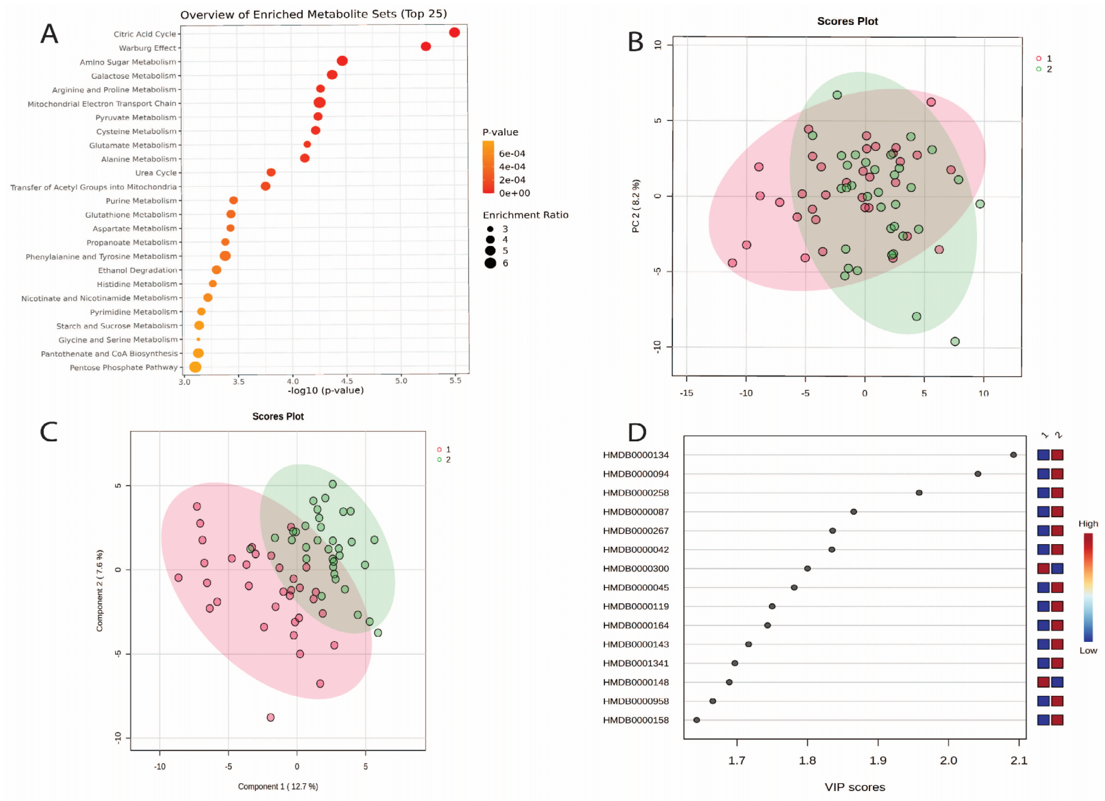 Nutrients 16 04358 g002