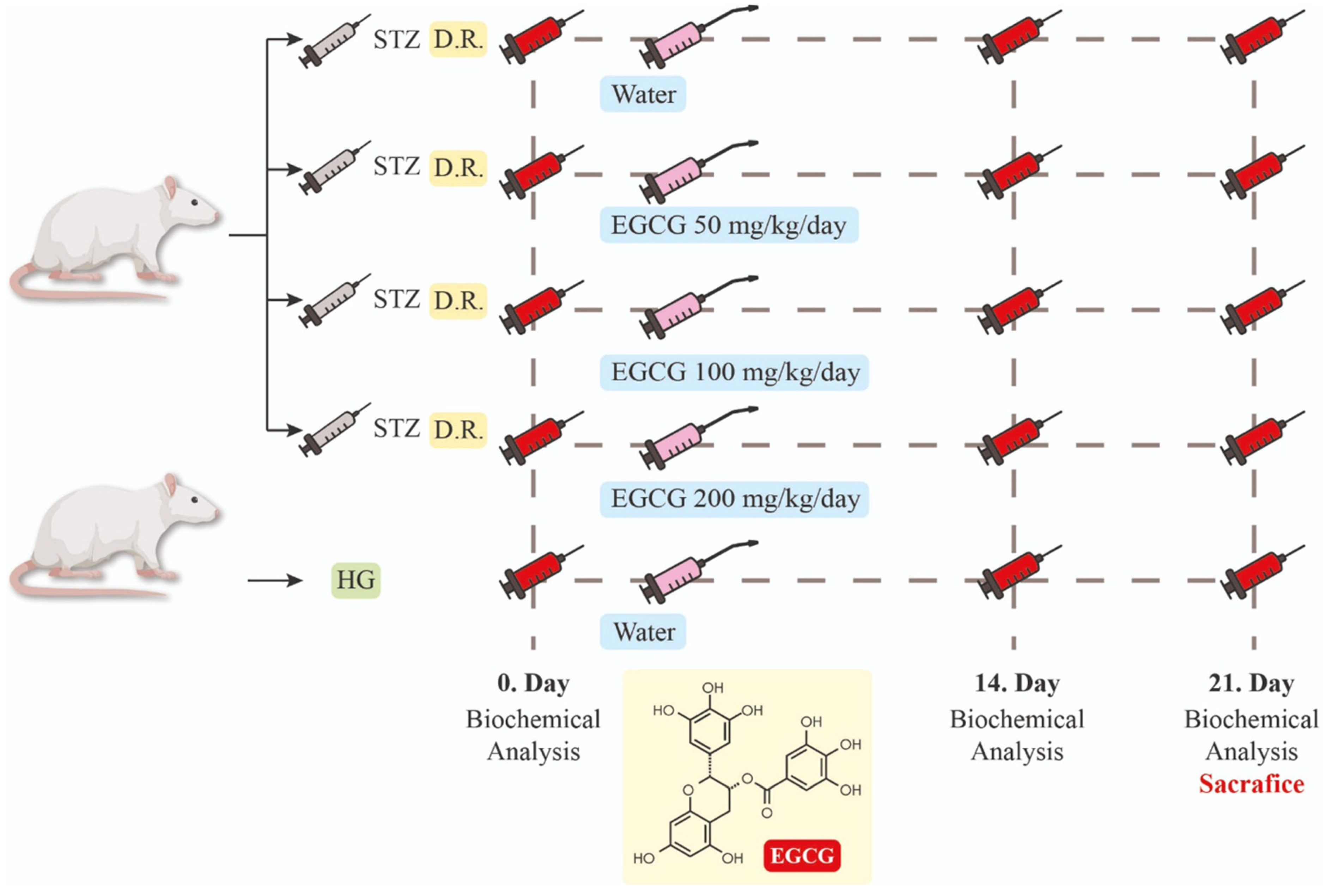 Nutrients 16 04360 g001