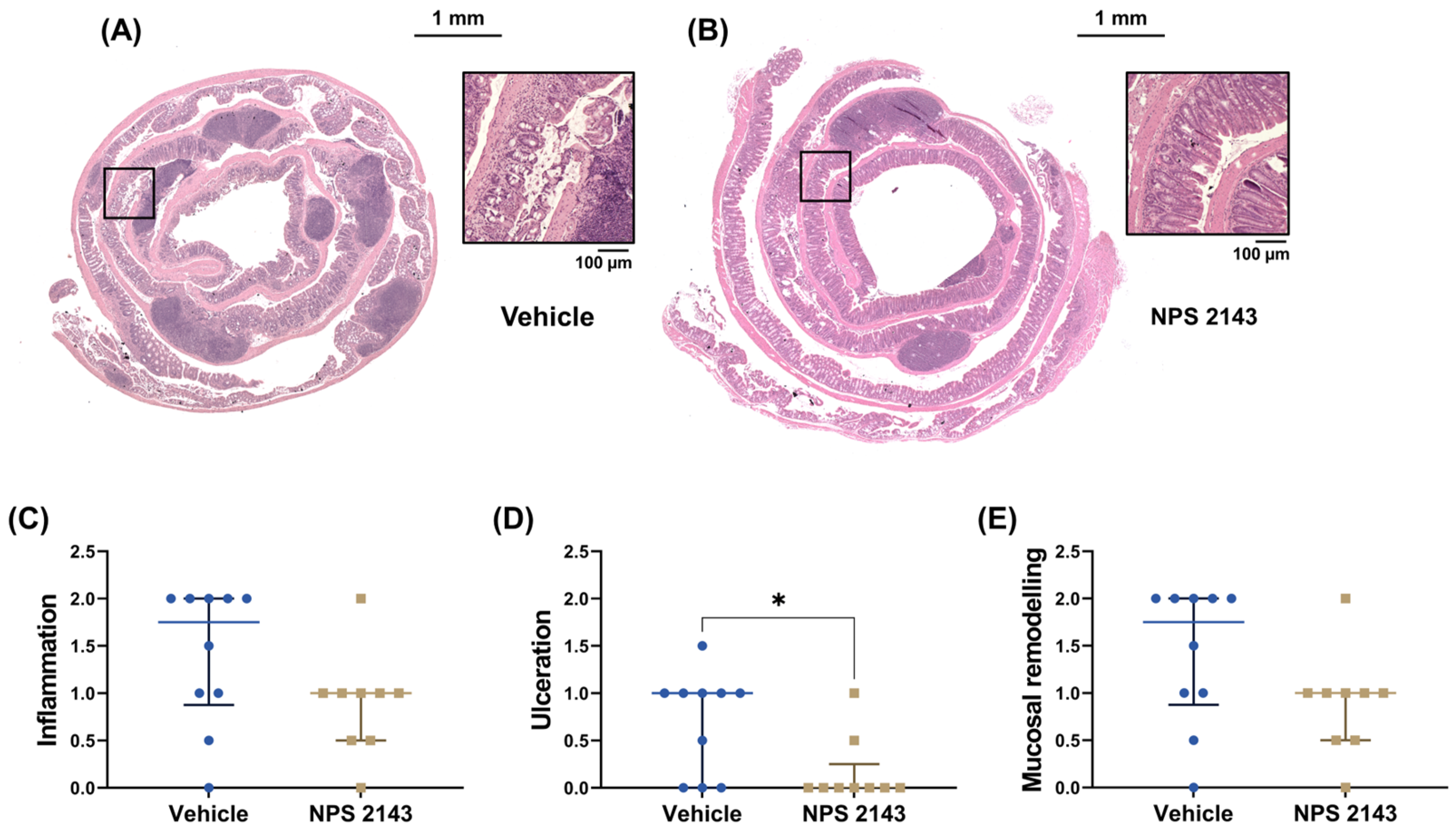 Nutrients 16 04362 g003