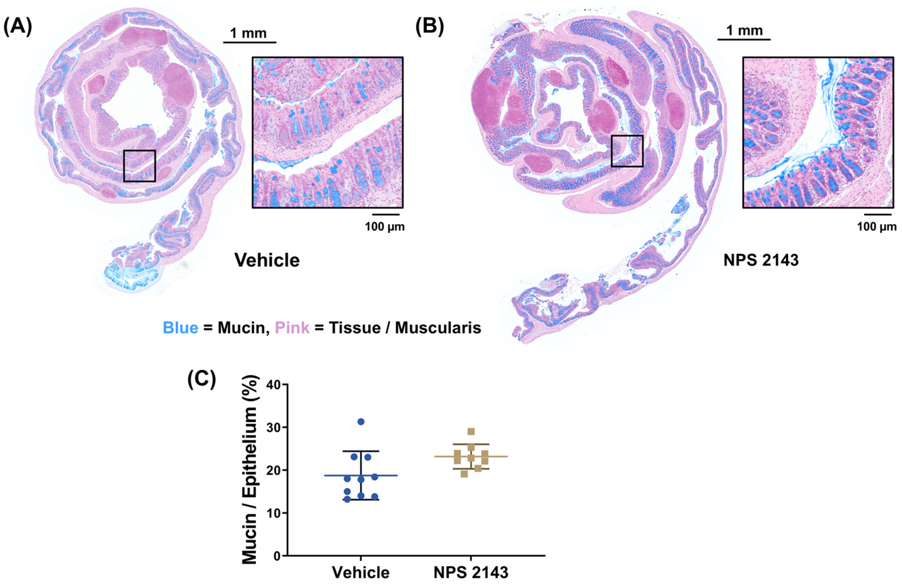 Nutrients 16 04362 g004