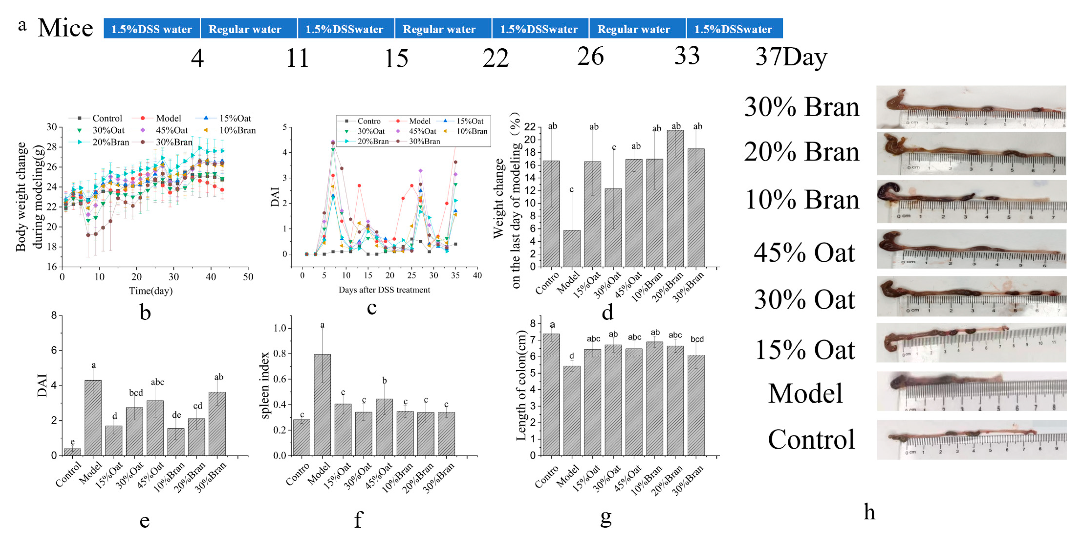 Nutrients 16 04365 g001