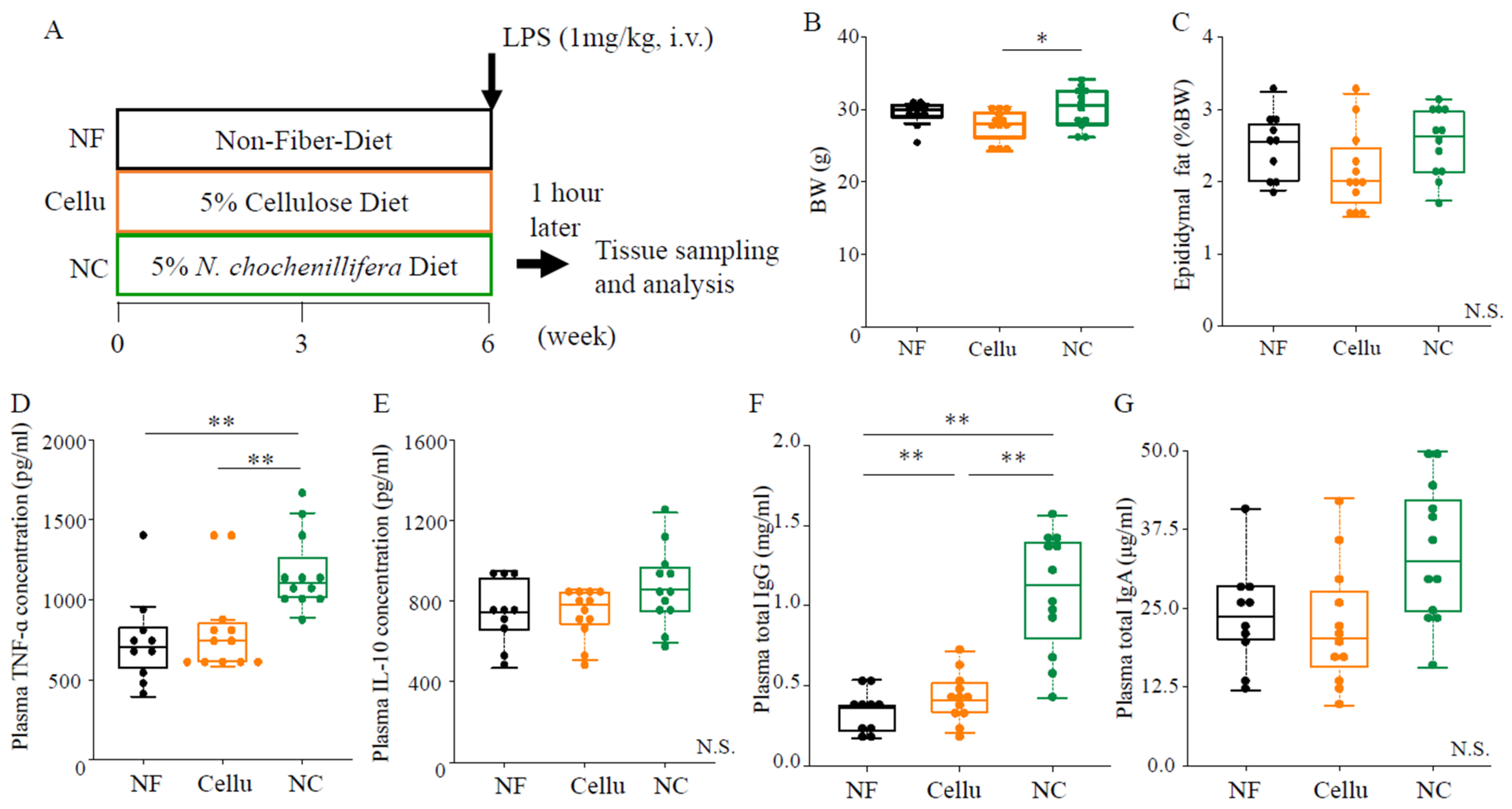 Nutrients 16 04376 g001