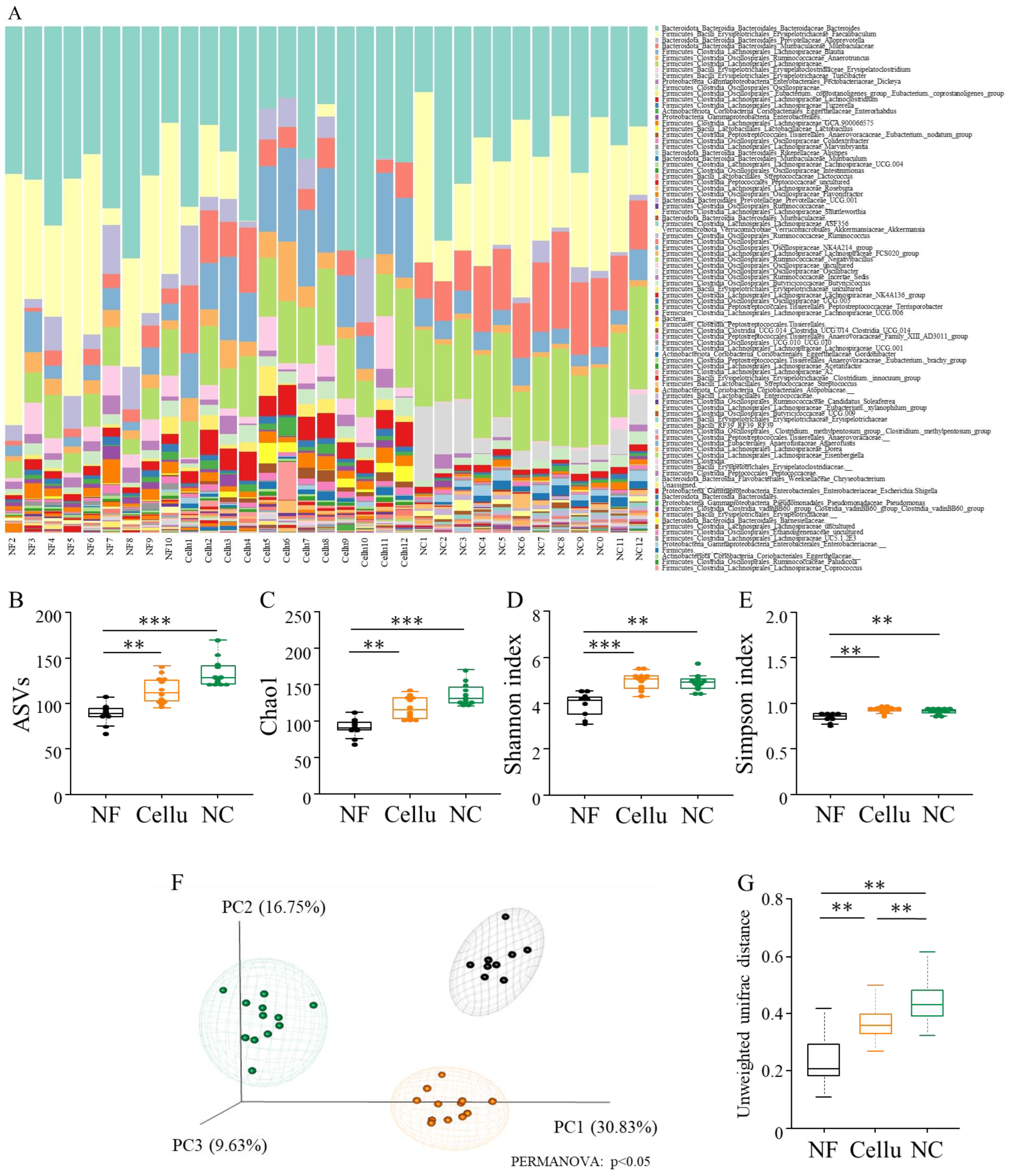 Nutrients 16 04376 g004