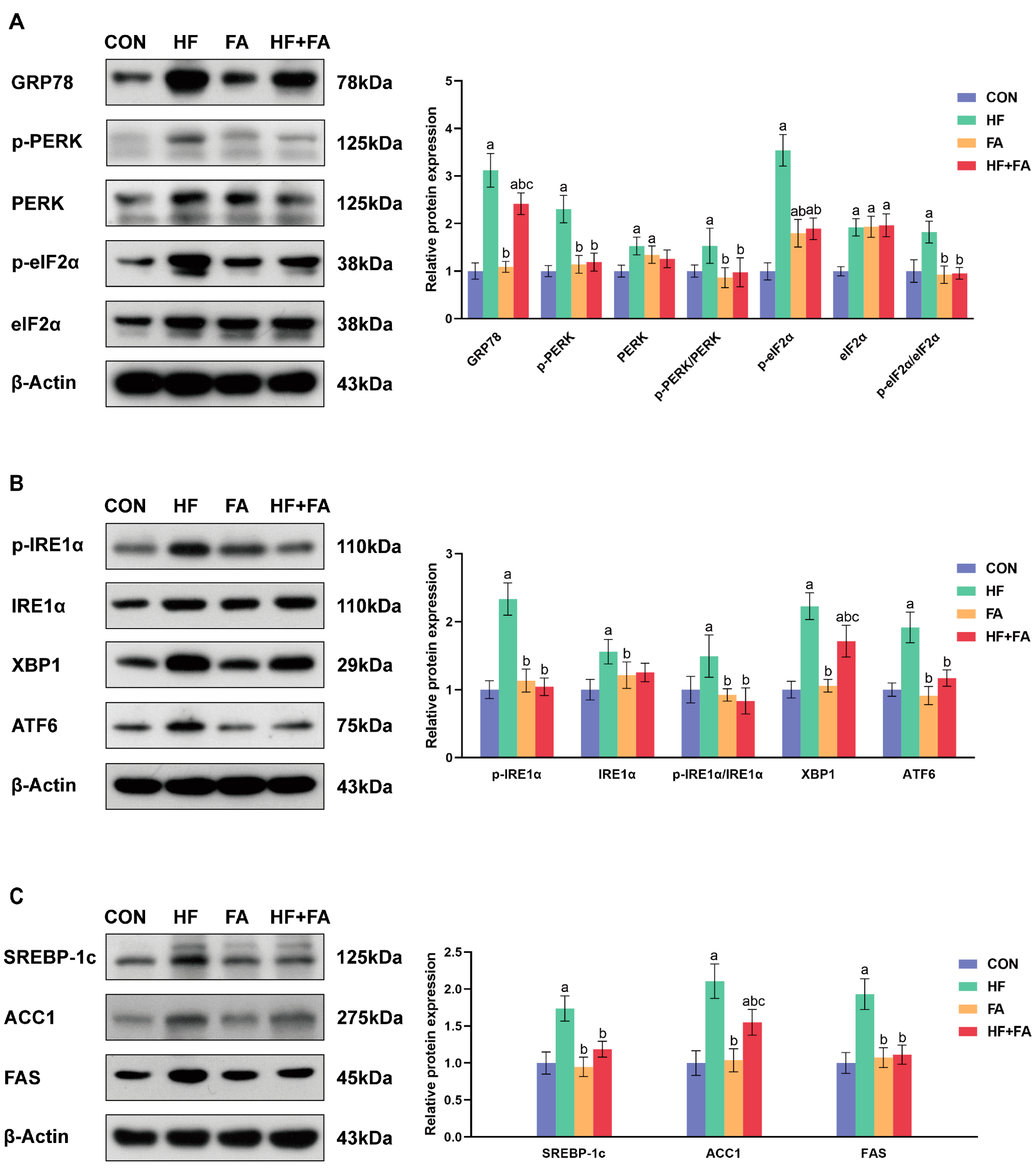 Nutrients 16 04377 g007