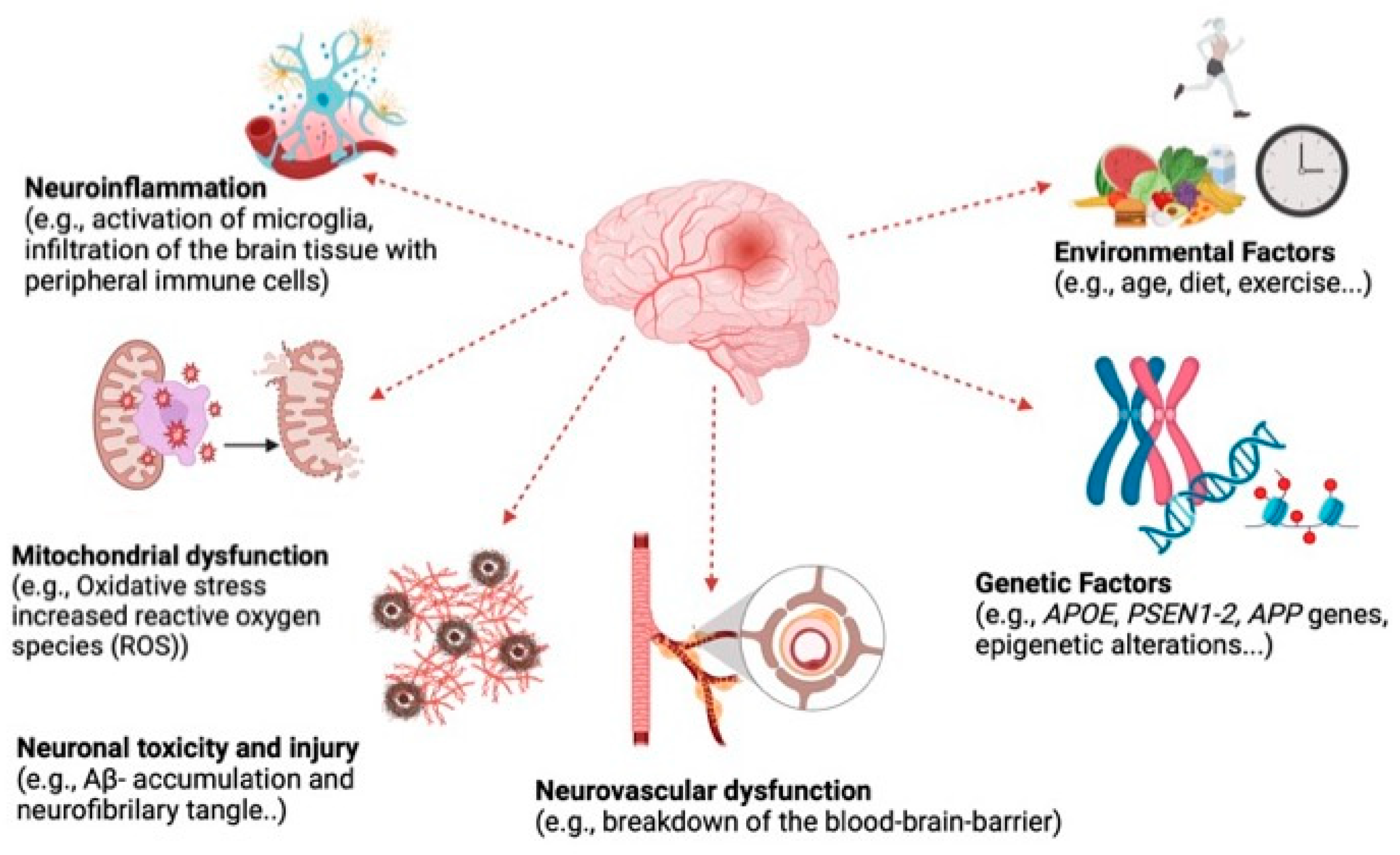 Nutrients 16 04394 g002