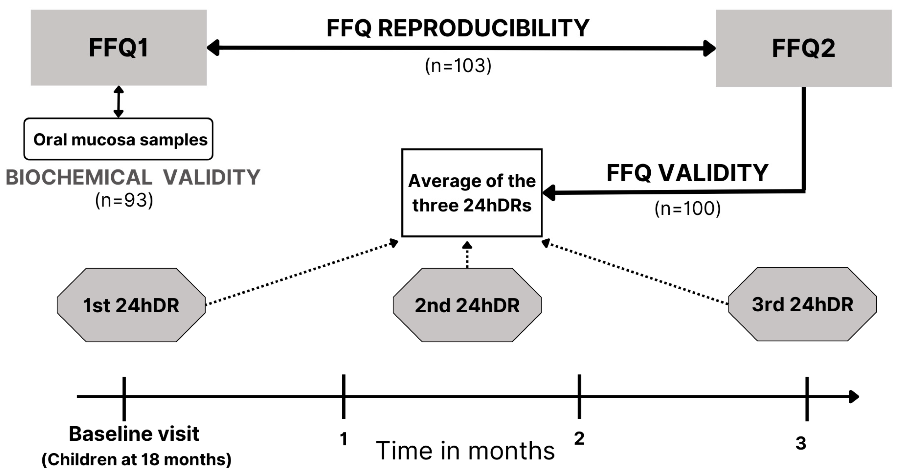 Nutrients 16 04403 g001 Nutrients 16 04403 g001