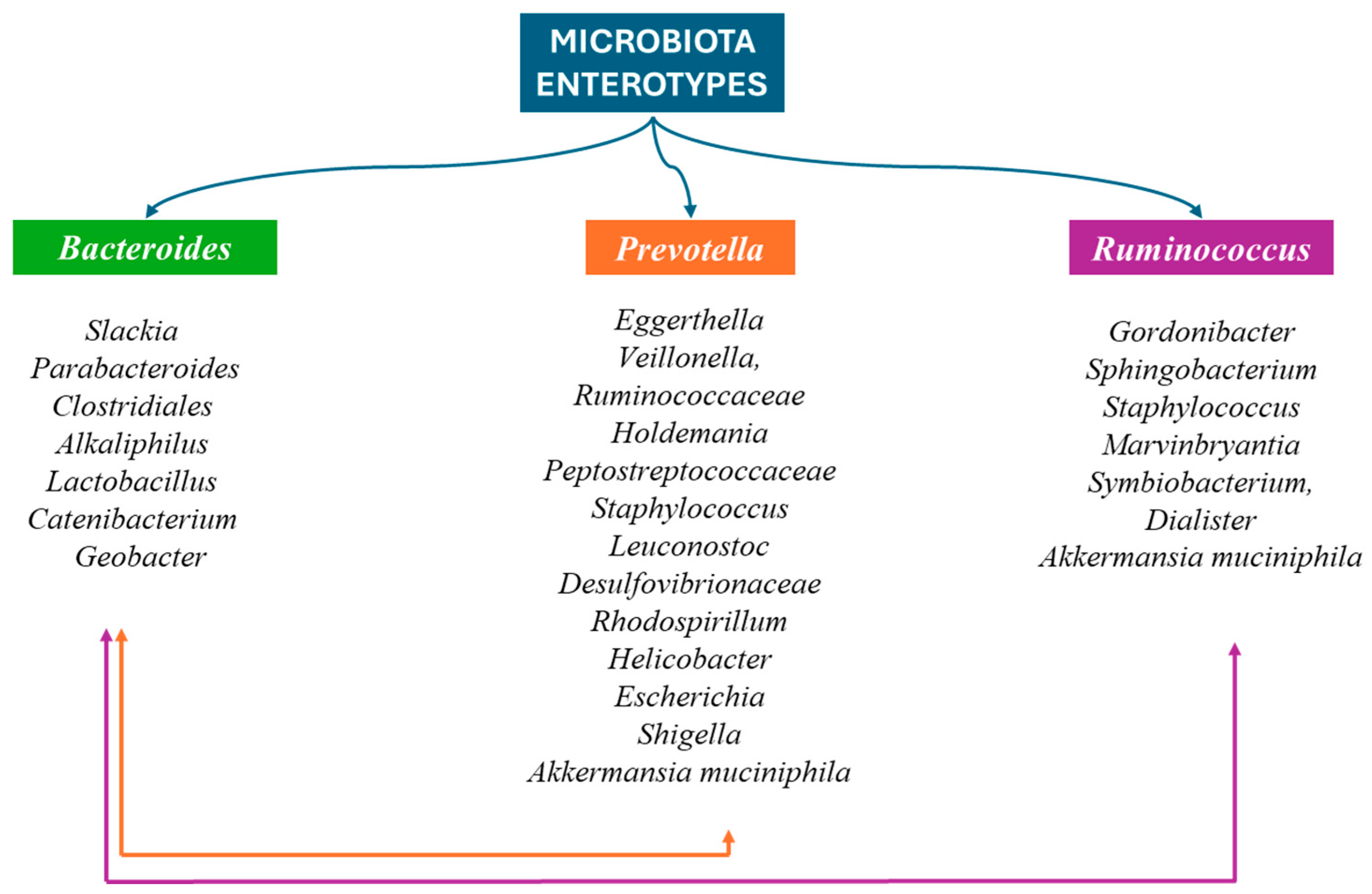 Nutrients 16 04404 g004