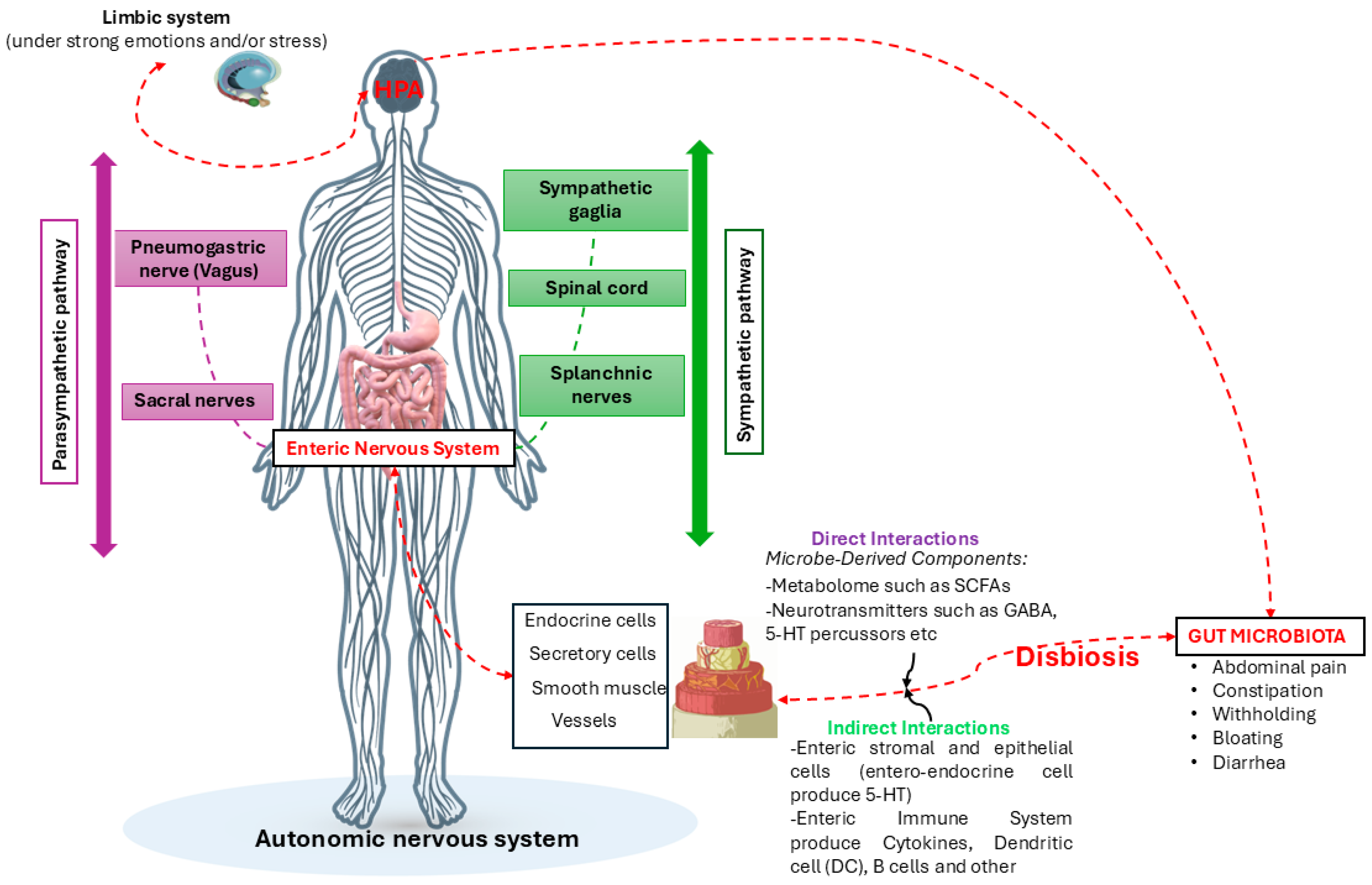 Nutrients 16 04404 g005