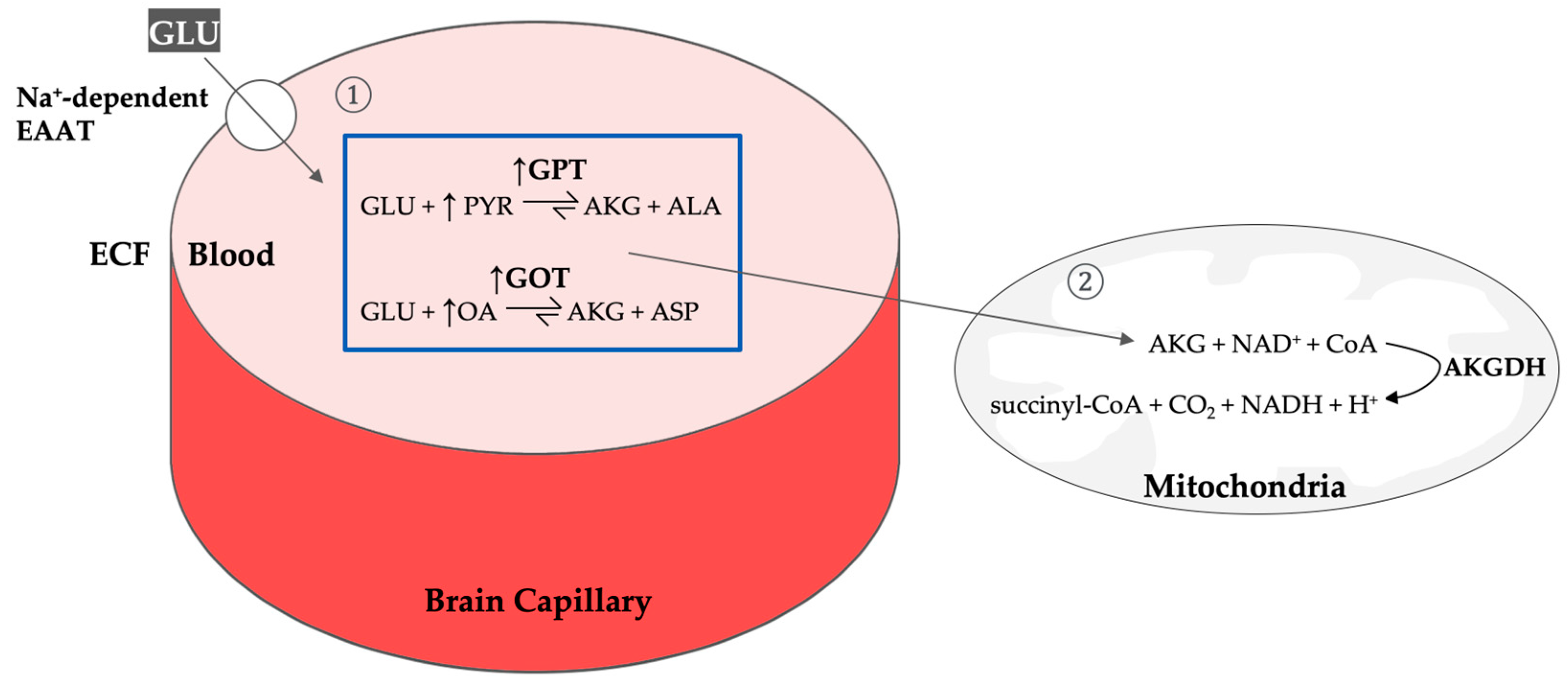 Nutrients 16 04405 g001