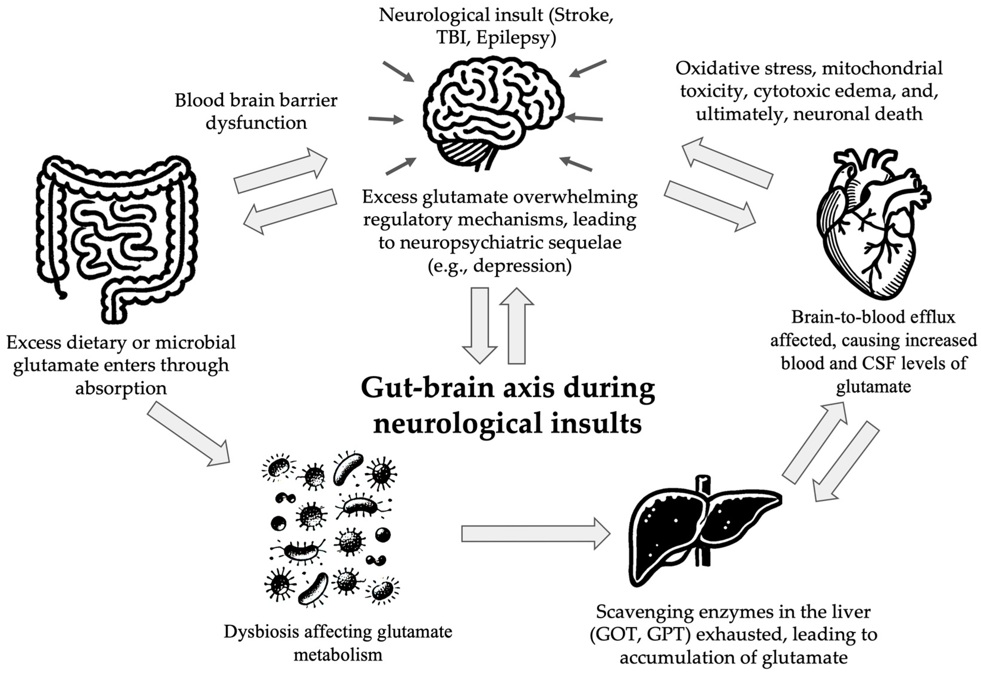 Nutrients 16 04405 g002