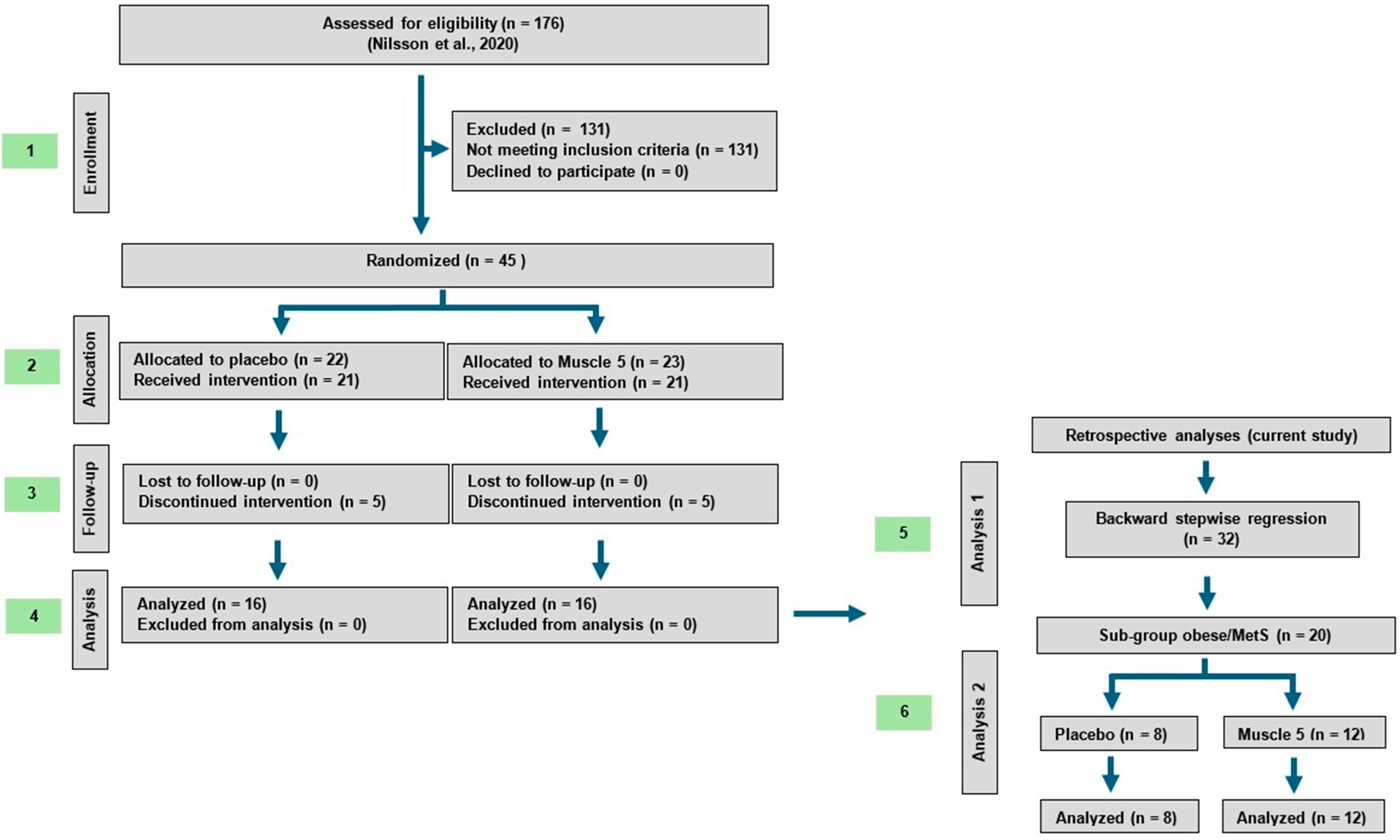 Nutrients 16 04407 g001