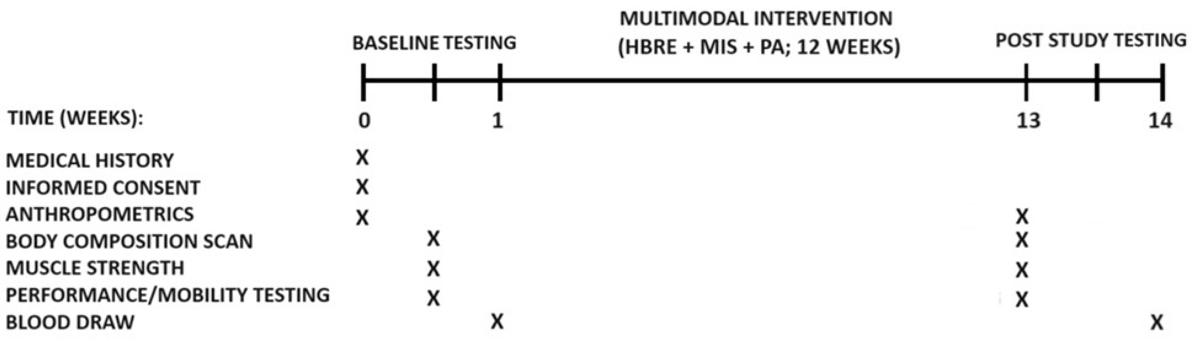 Nutrients 16 04407 g002