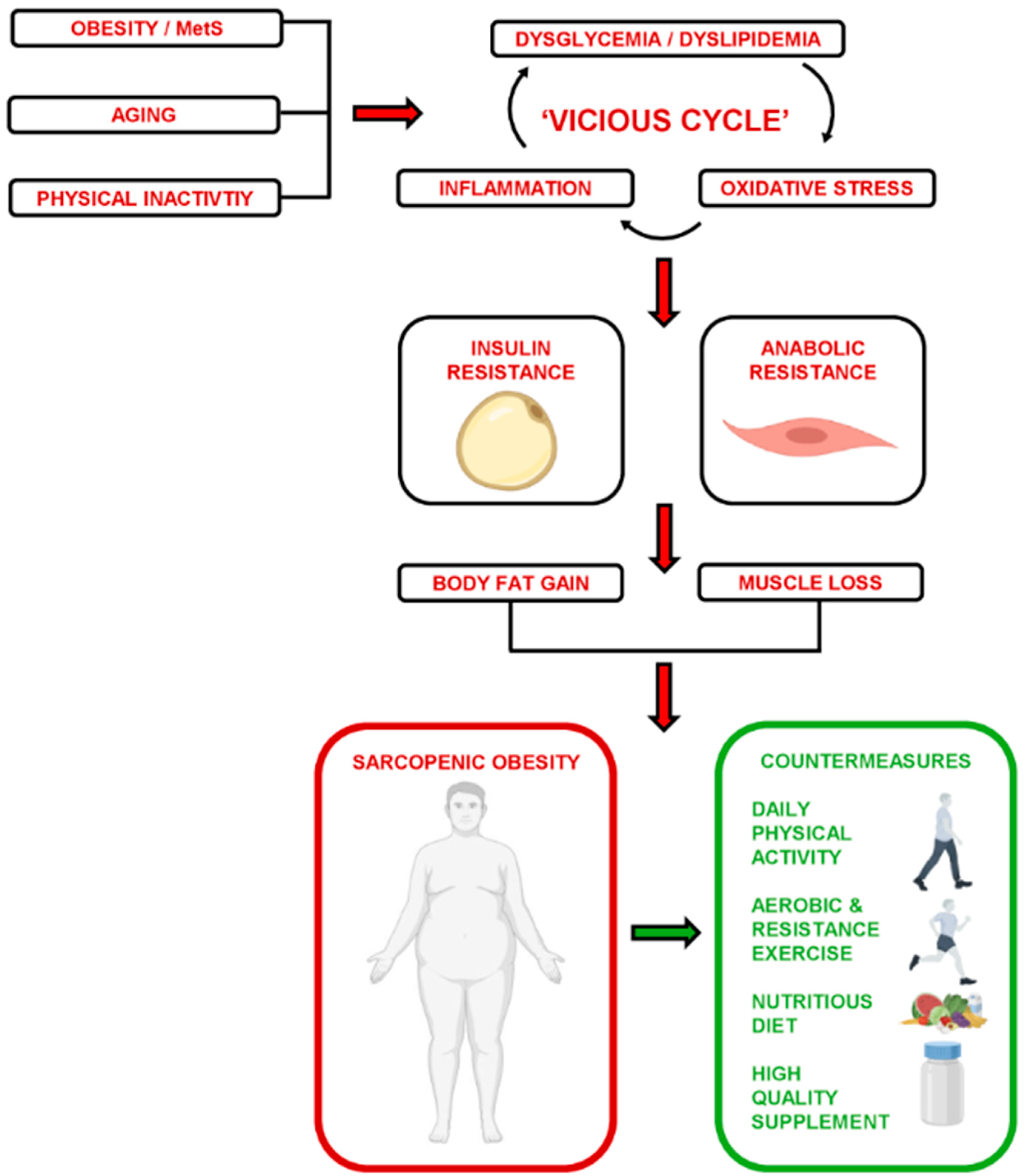 Nutrients 16 04407 g012