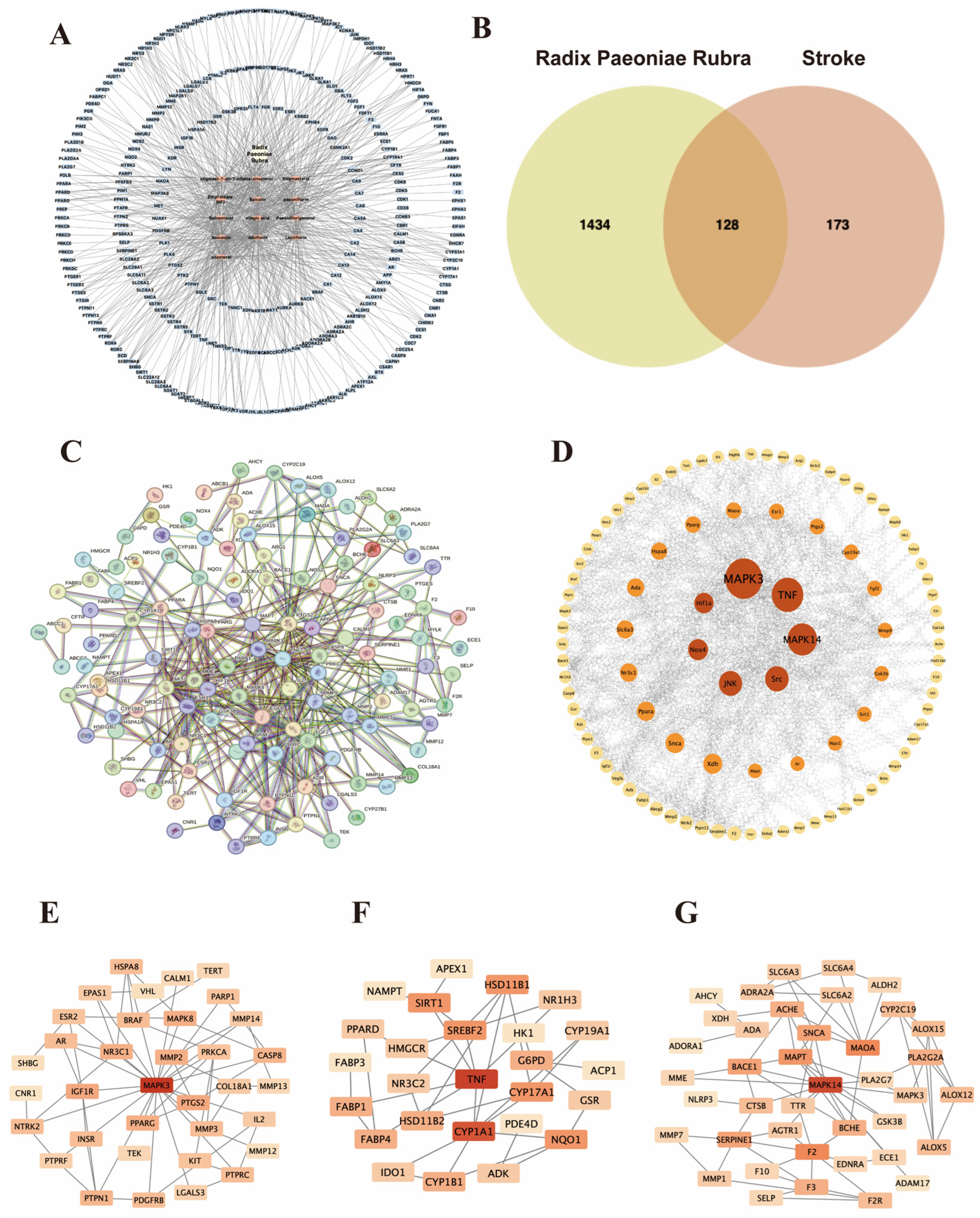 Nutrients 16 04409 g001