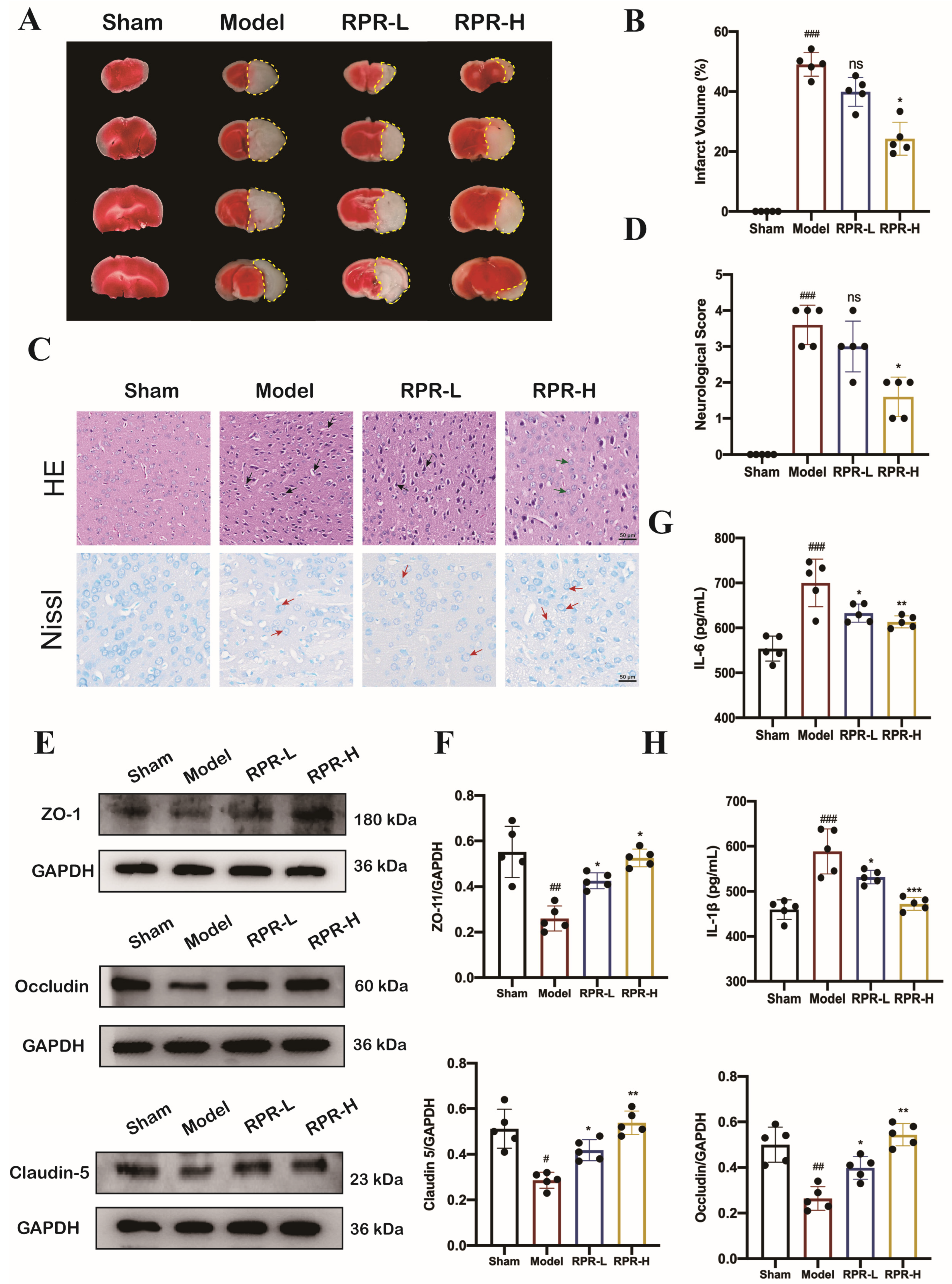 Nutrients 16 04409 g004
