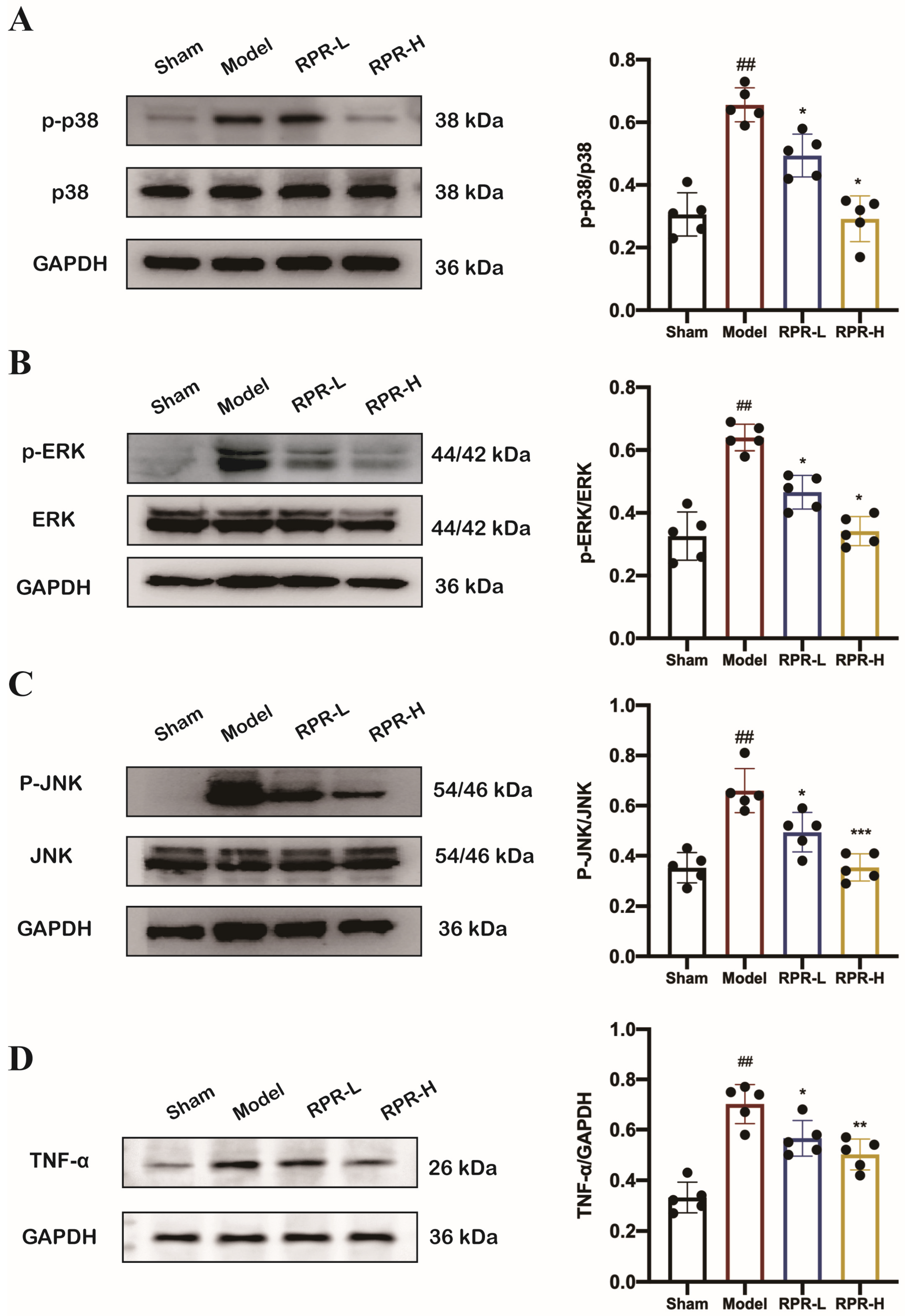 Nutrients 16 04409 g005