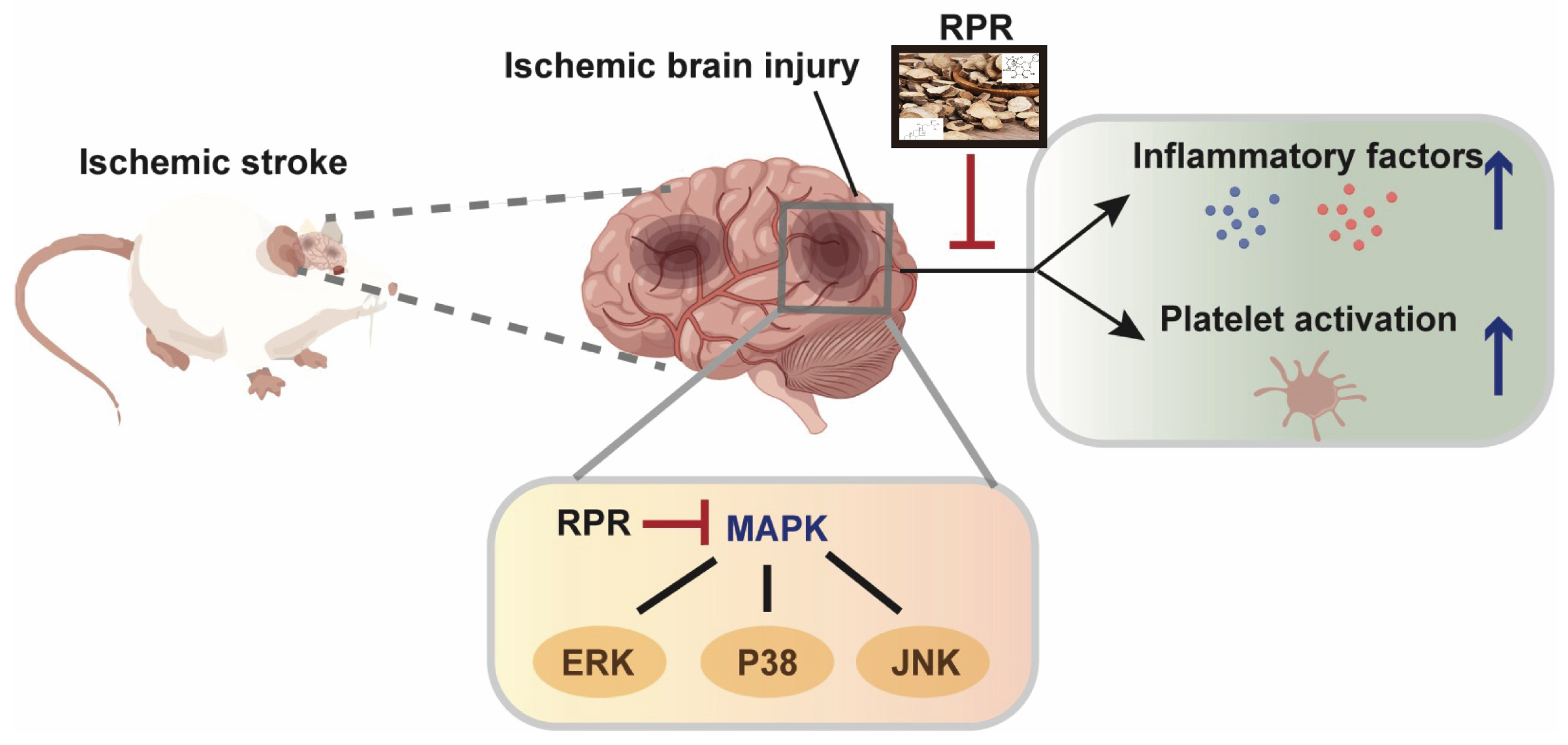 Nutrients 16 04409 g009