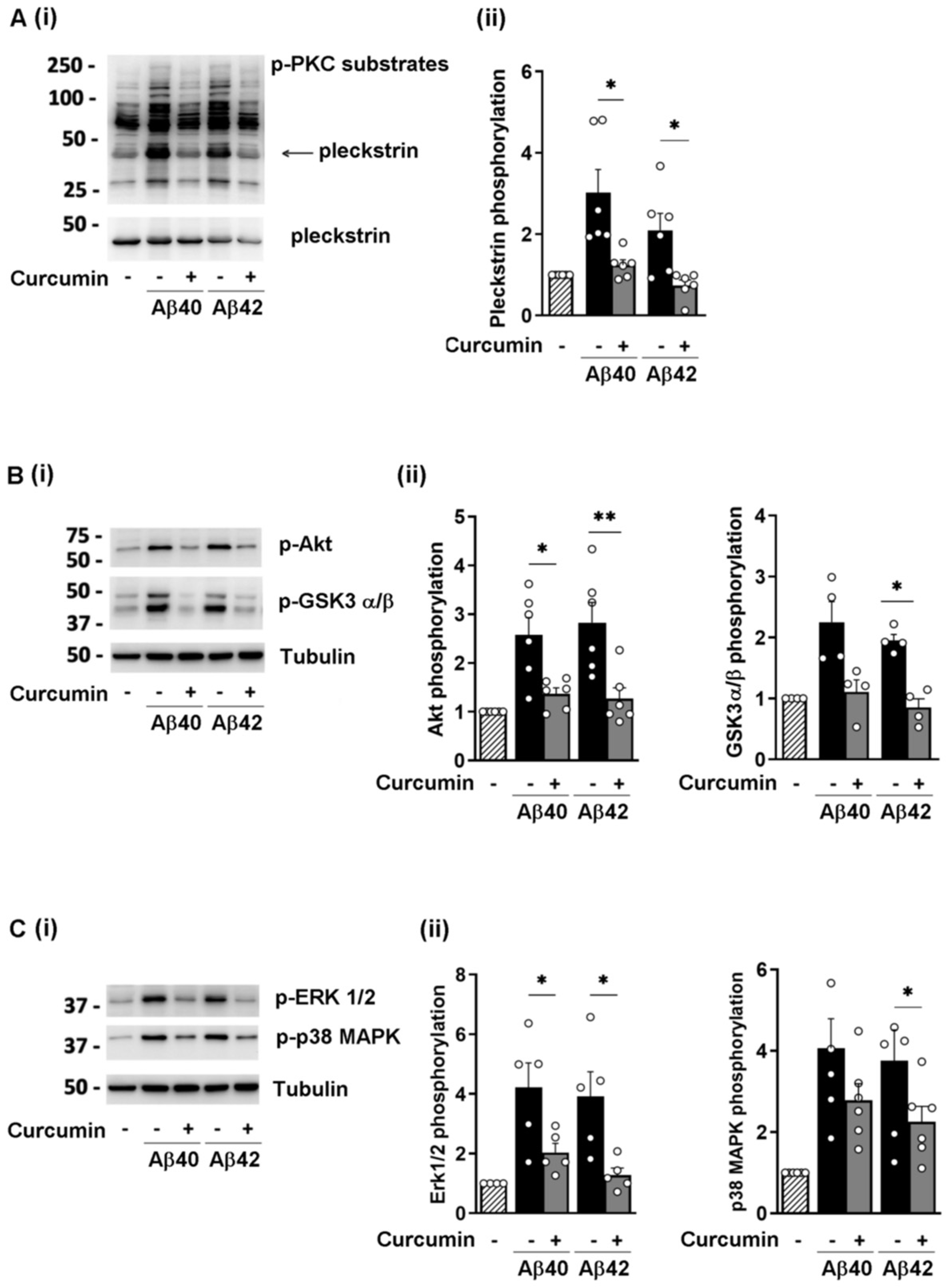 Nutrients 16 04419 g003