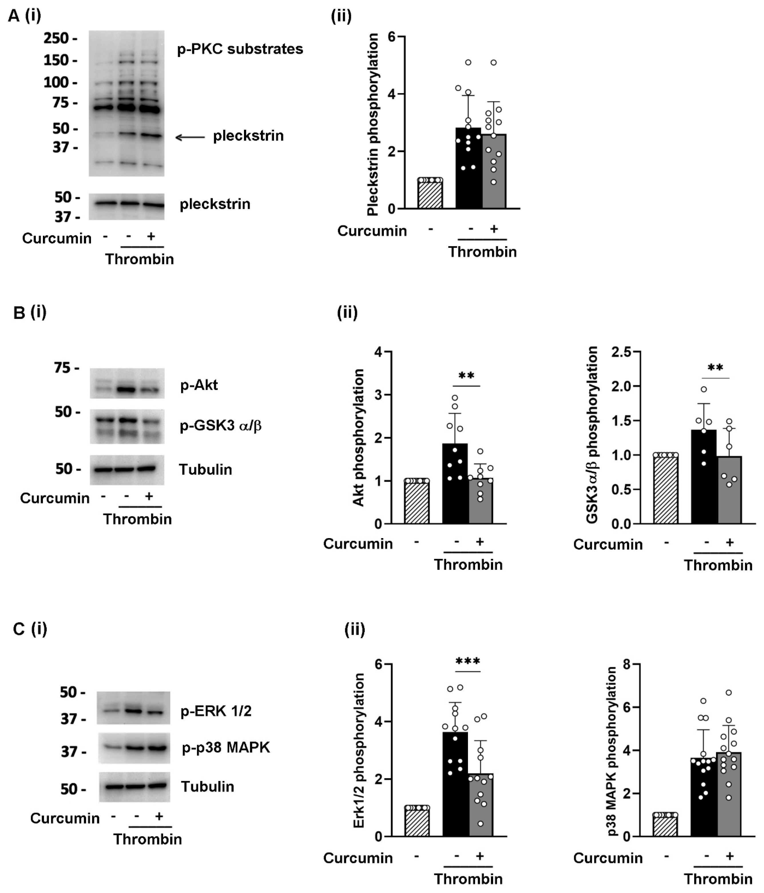 Nutrients 16 04419 g004
