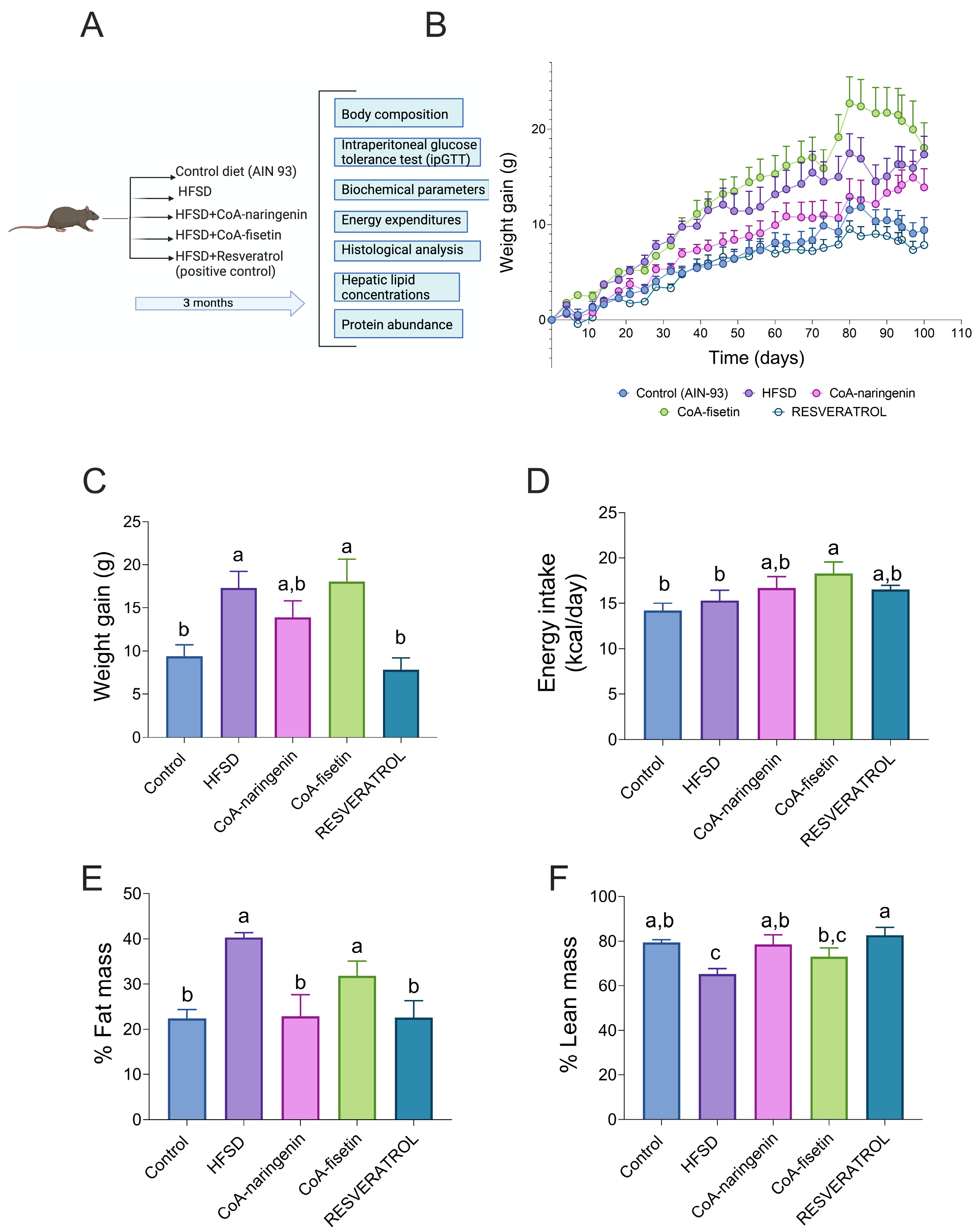 Nutrients 16 04425 g002