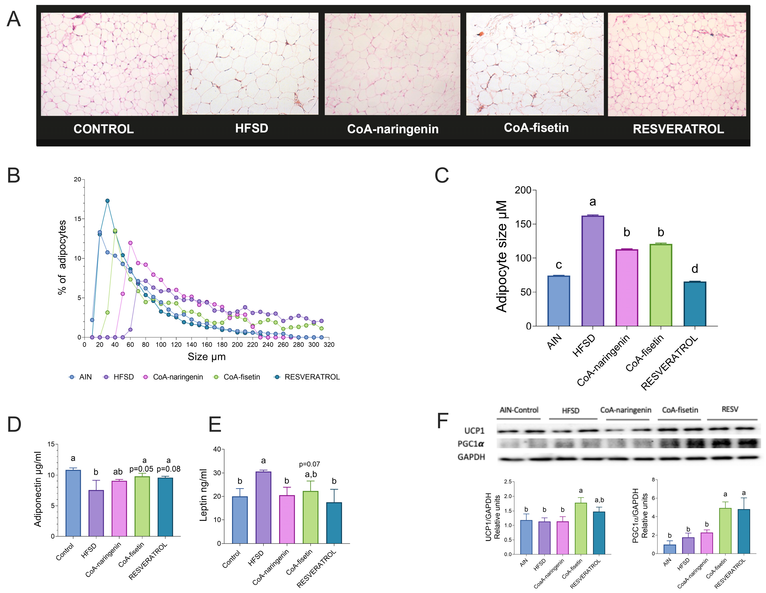 Nutrients 16 04425 g006