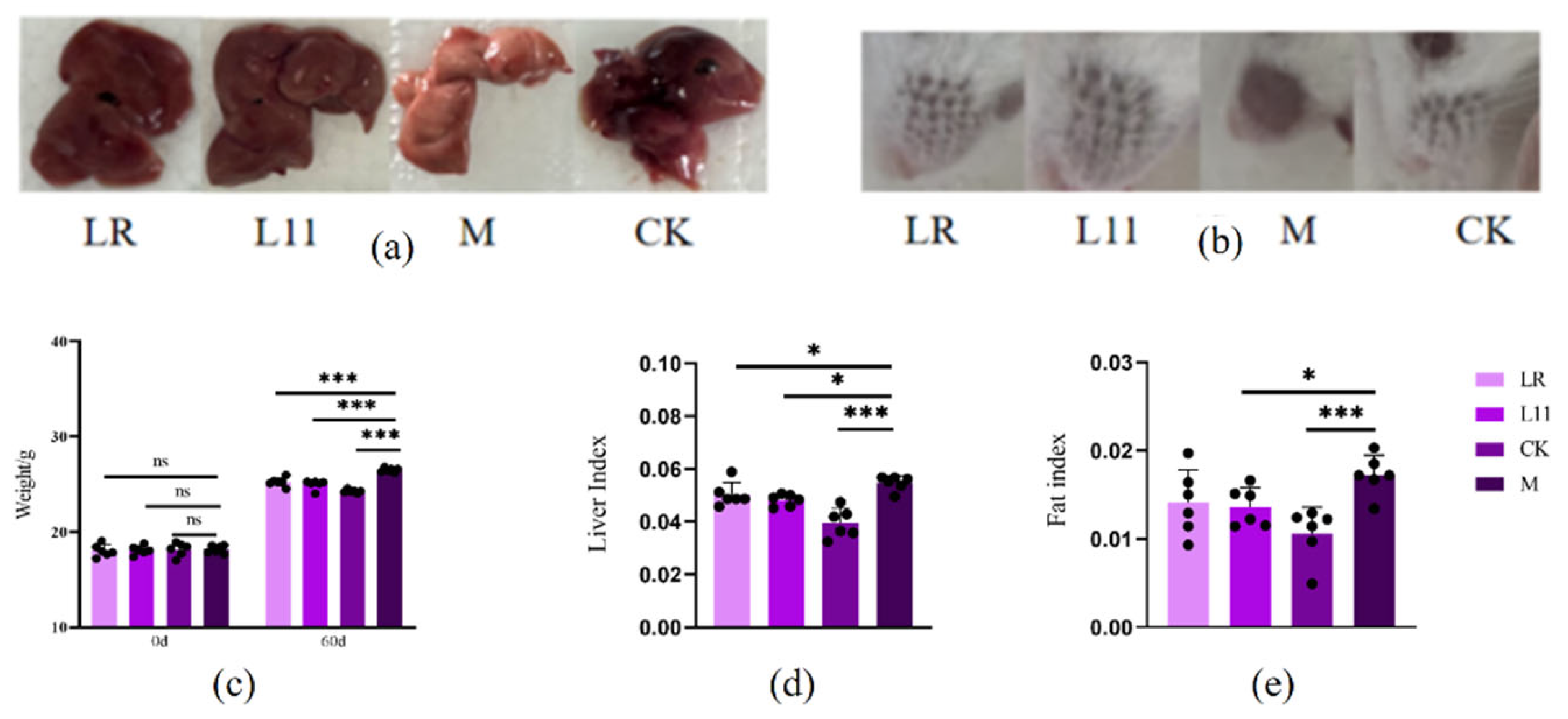 Nutrients 17 00004 g001