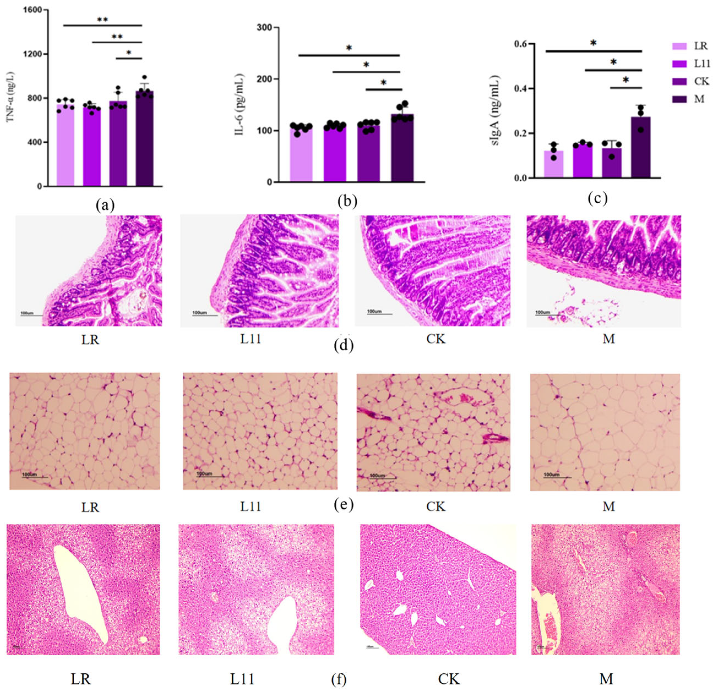Nutrients 17 00004 g003