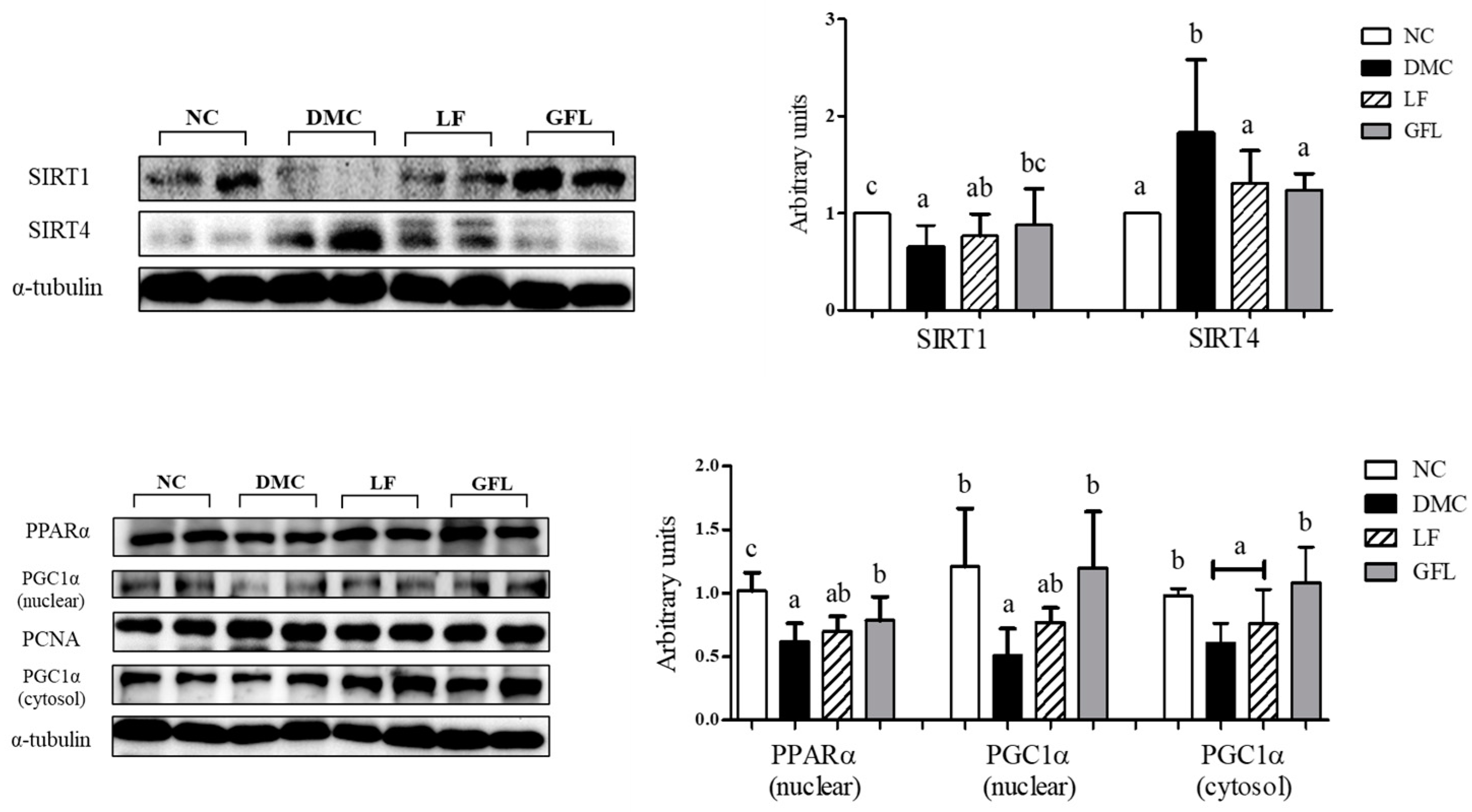 Nutrients 17 00007 g006