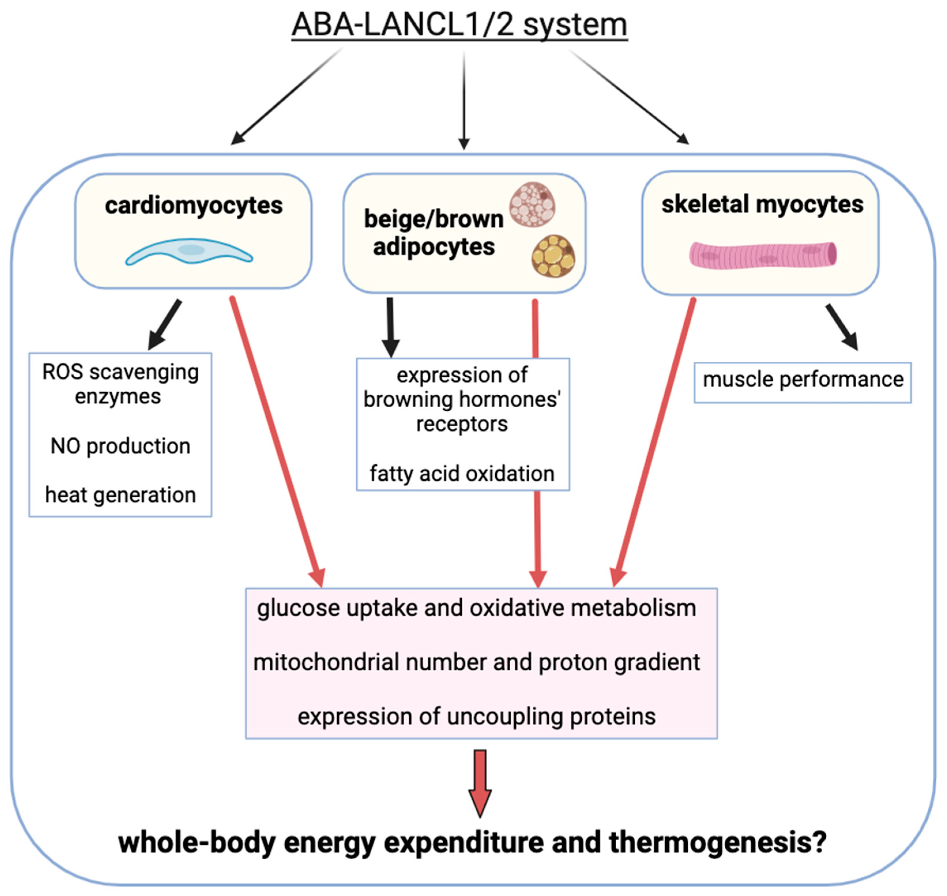 Nutrients 17 00013 g004 Nutrients 17 00013 g004