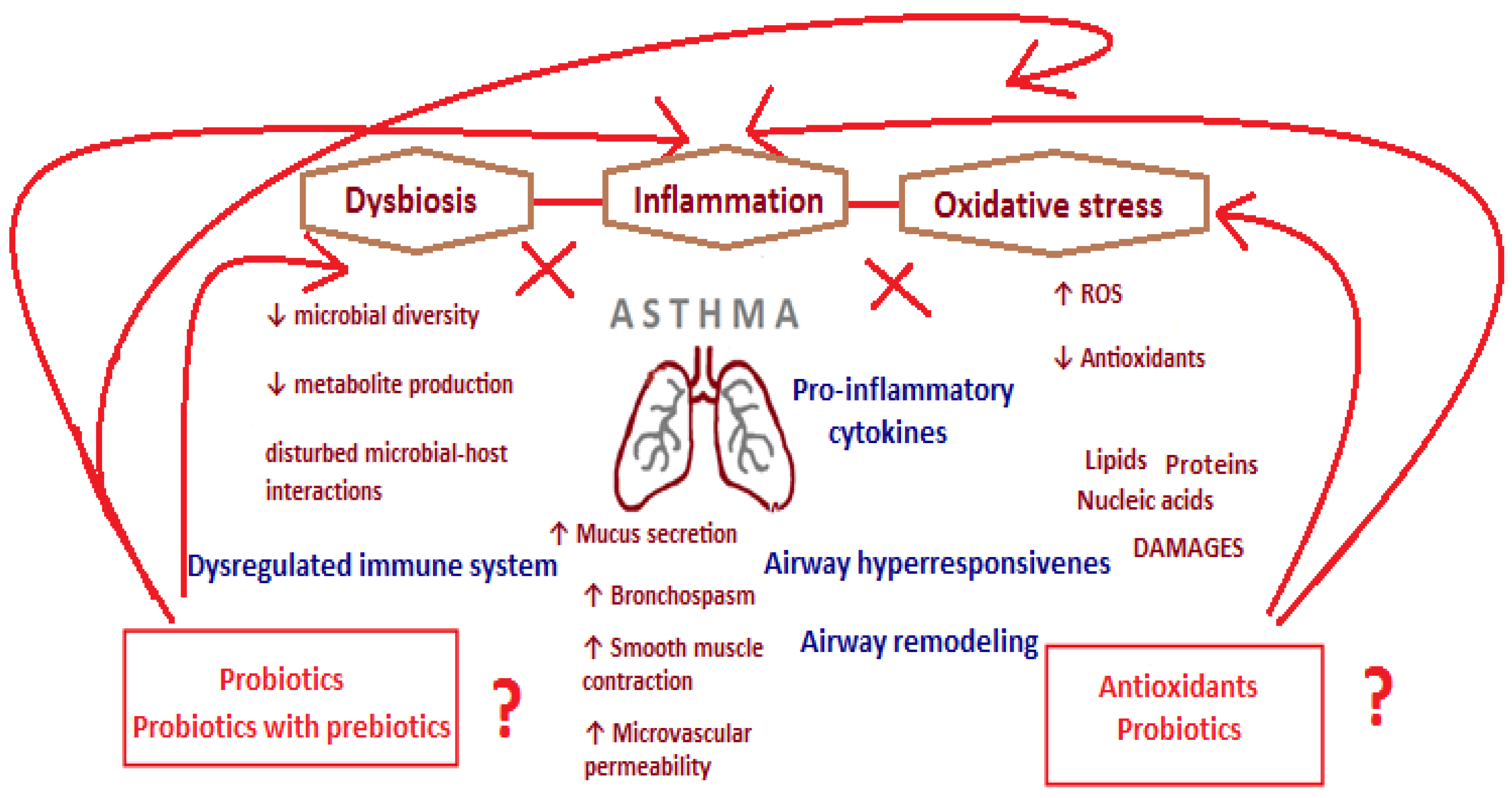 Nutrients 17 00016 g001