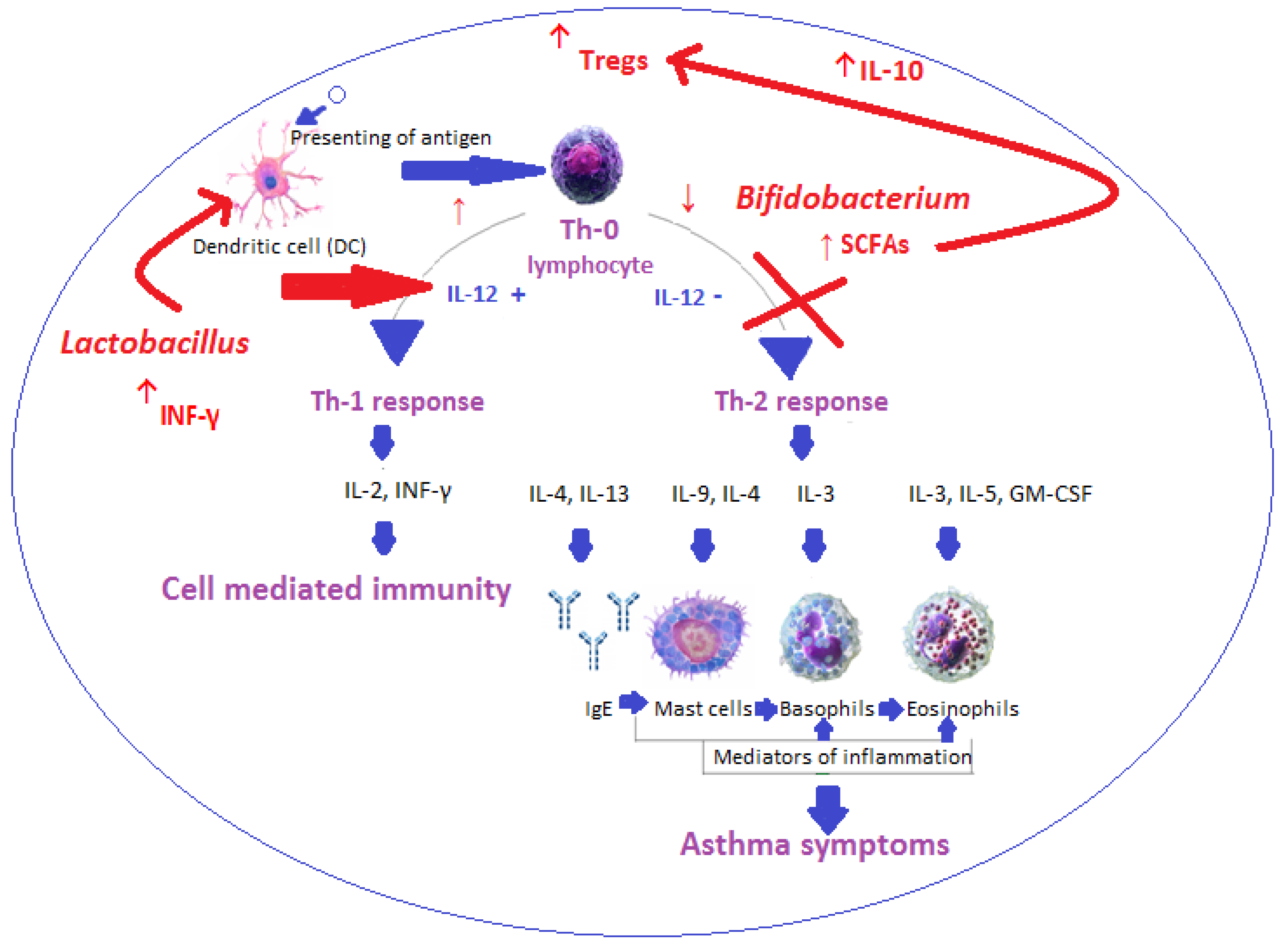 Nutrients 17 00016 g002