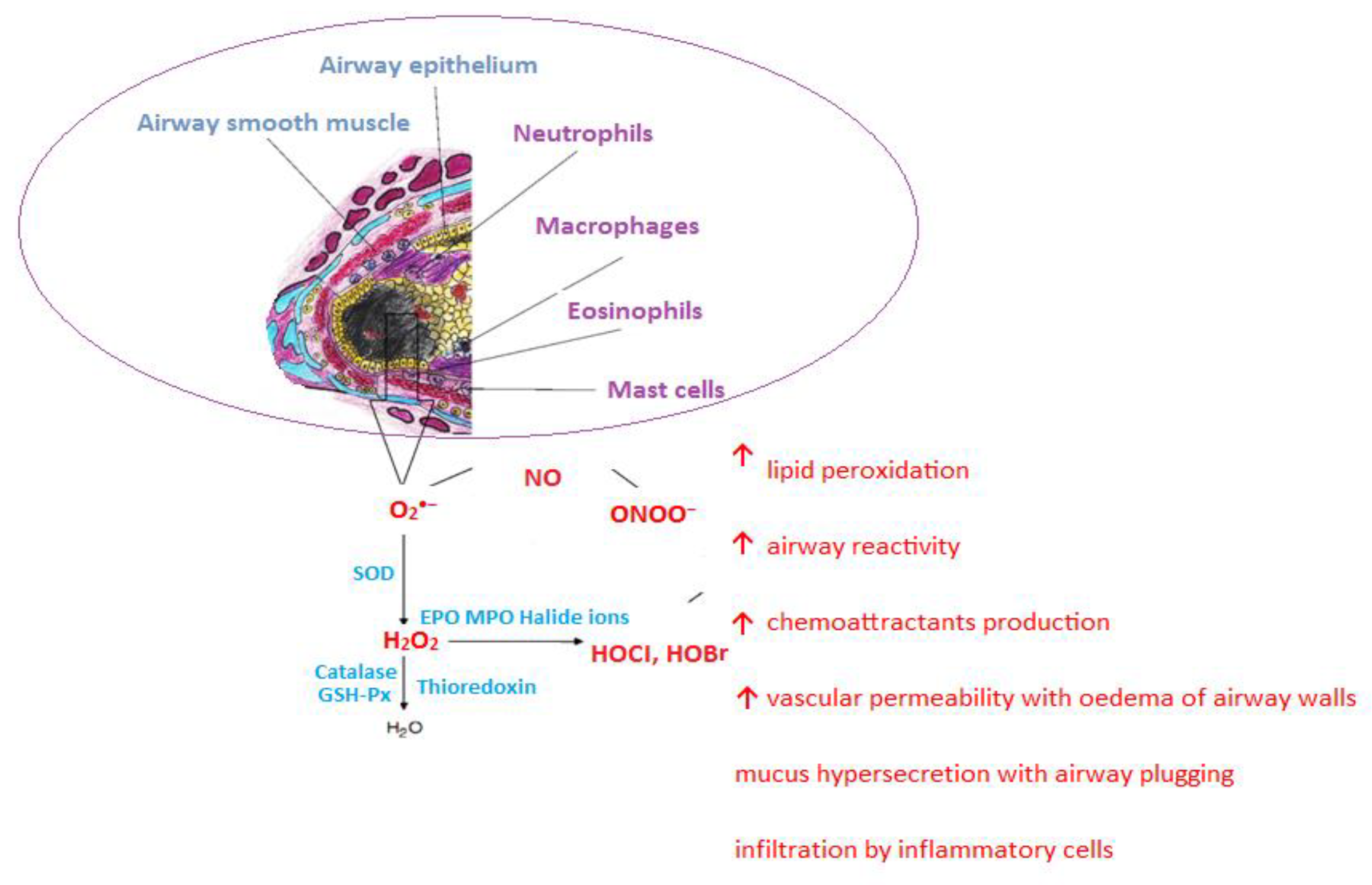Nutrients 17 00016 g004