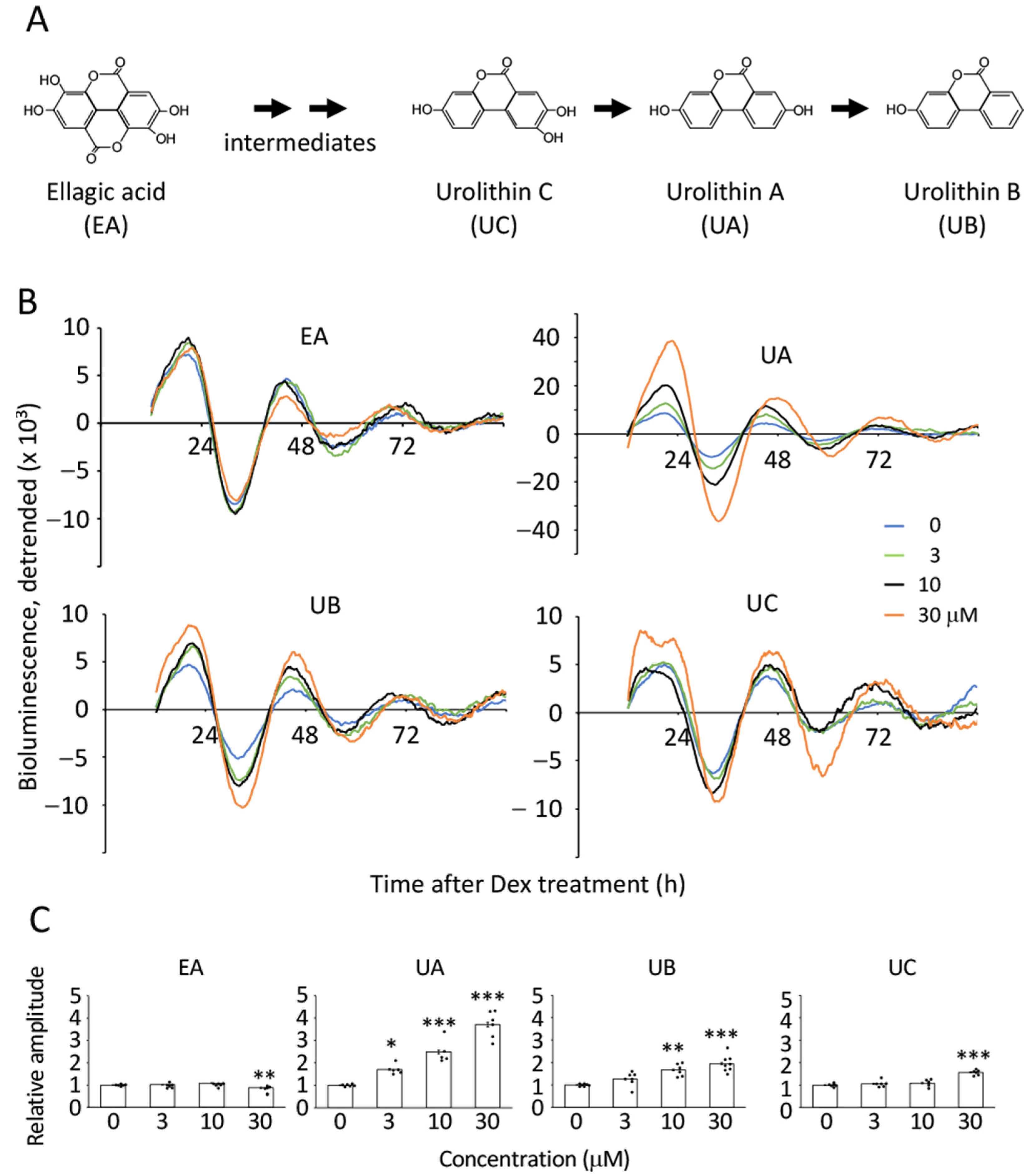 Nutrients 17 00020 g003