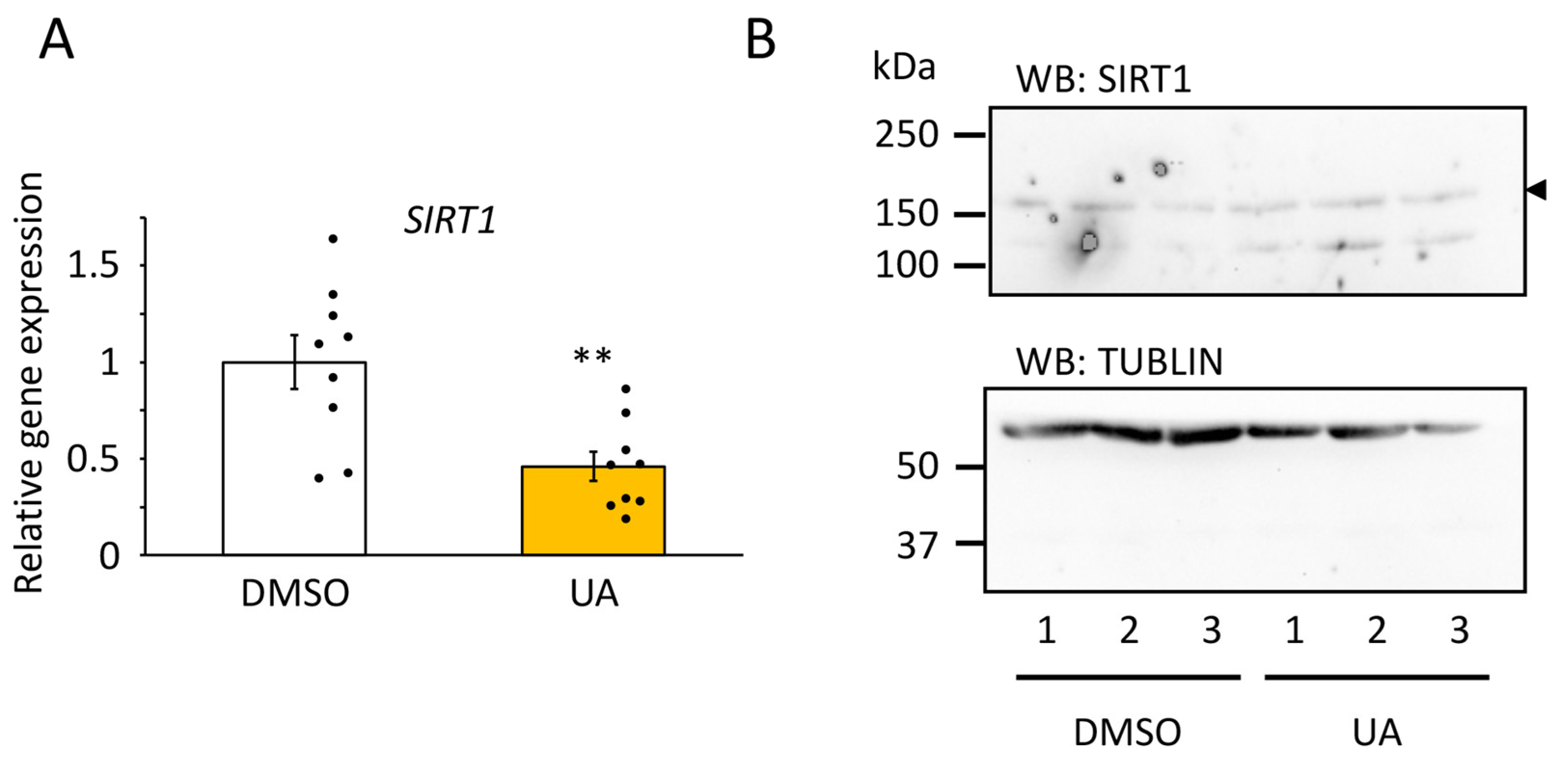 Nutrients 17 00020 g006