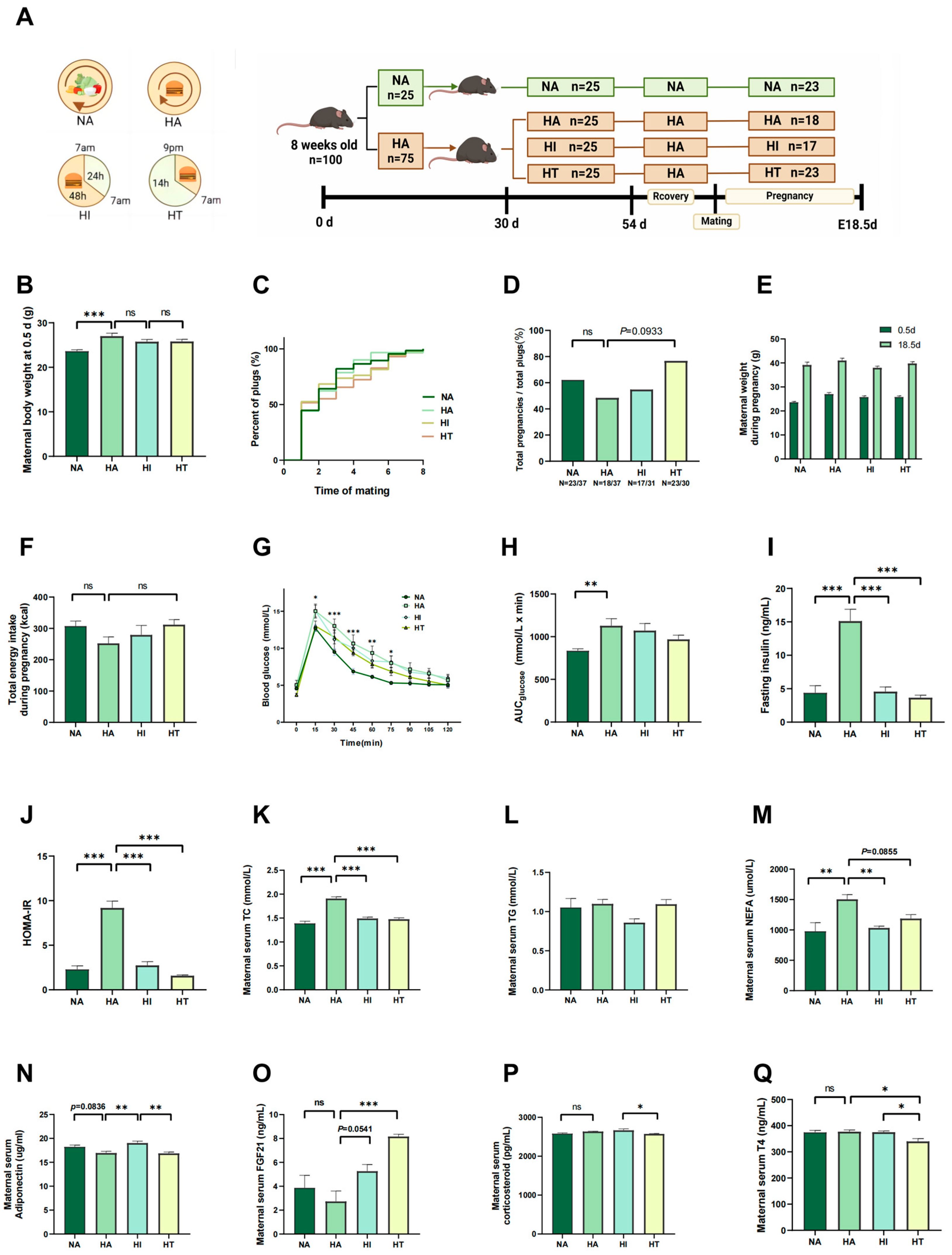 Nutrients 17 00025 g001