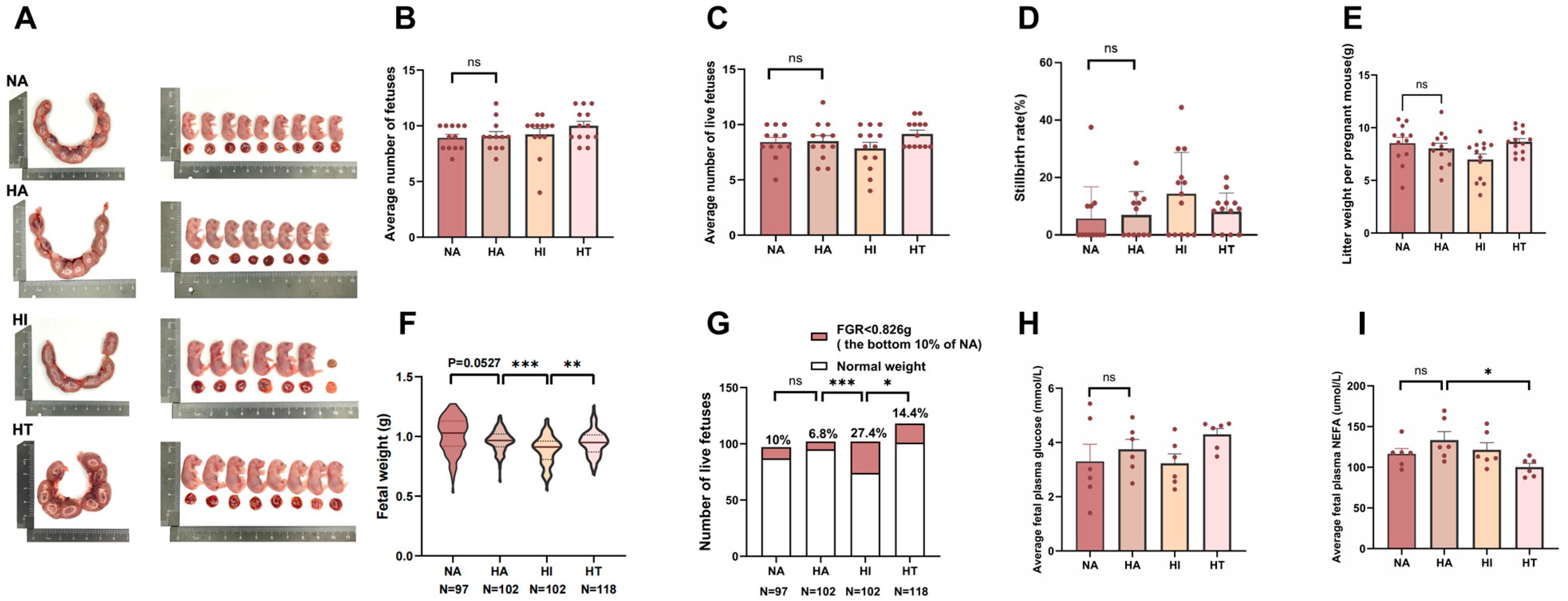 Nutrients 17 00025 g002
