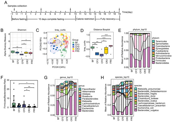 Effects of Long-Term Fasting on Gut Microbiota, Serum Metabolome 