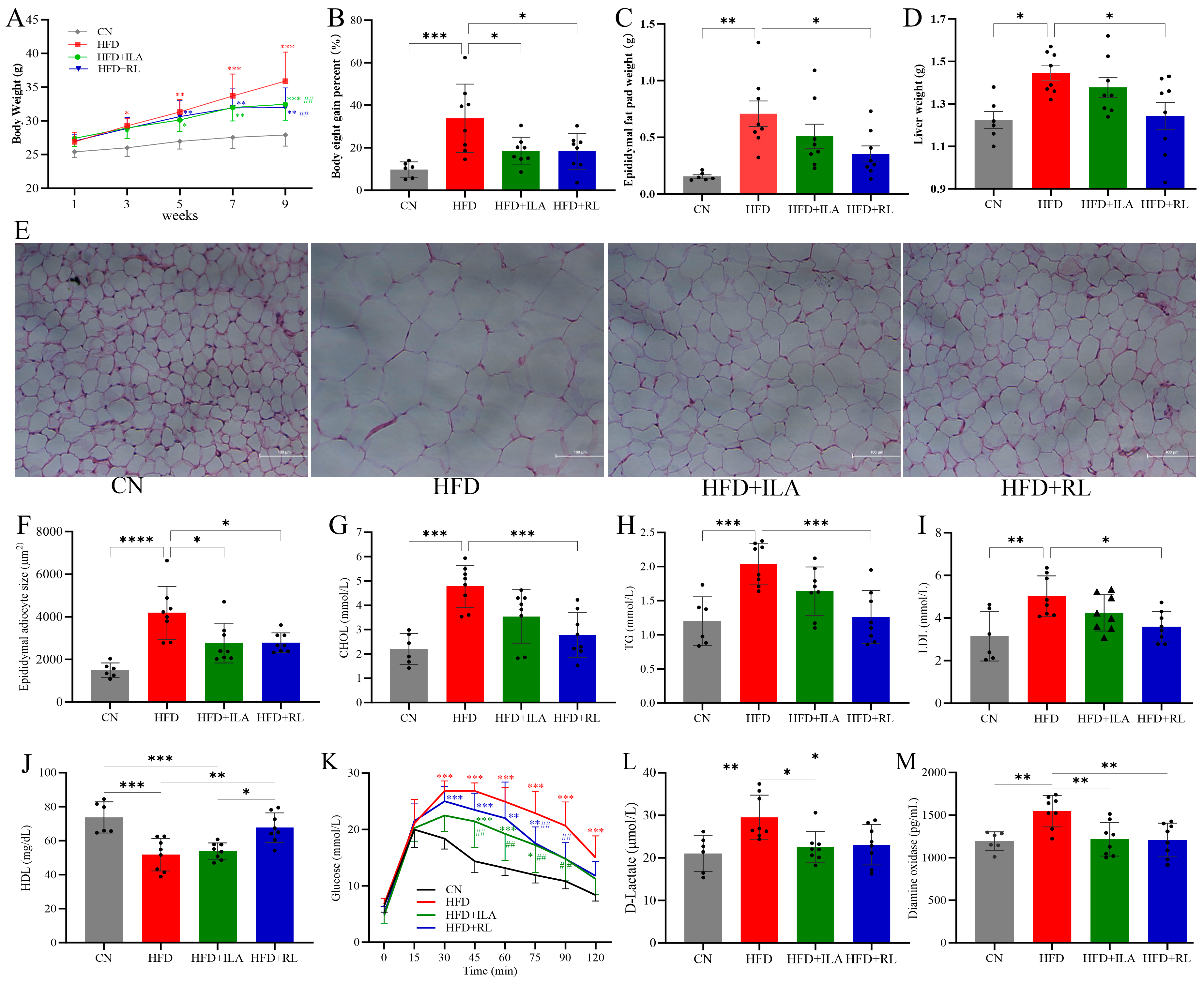 Nutrients 17 00035 g008