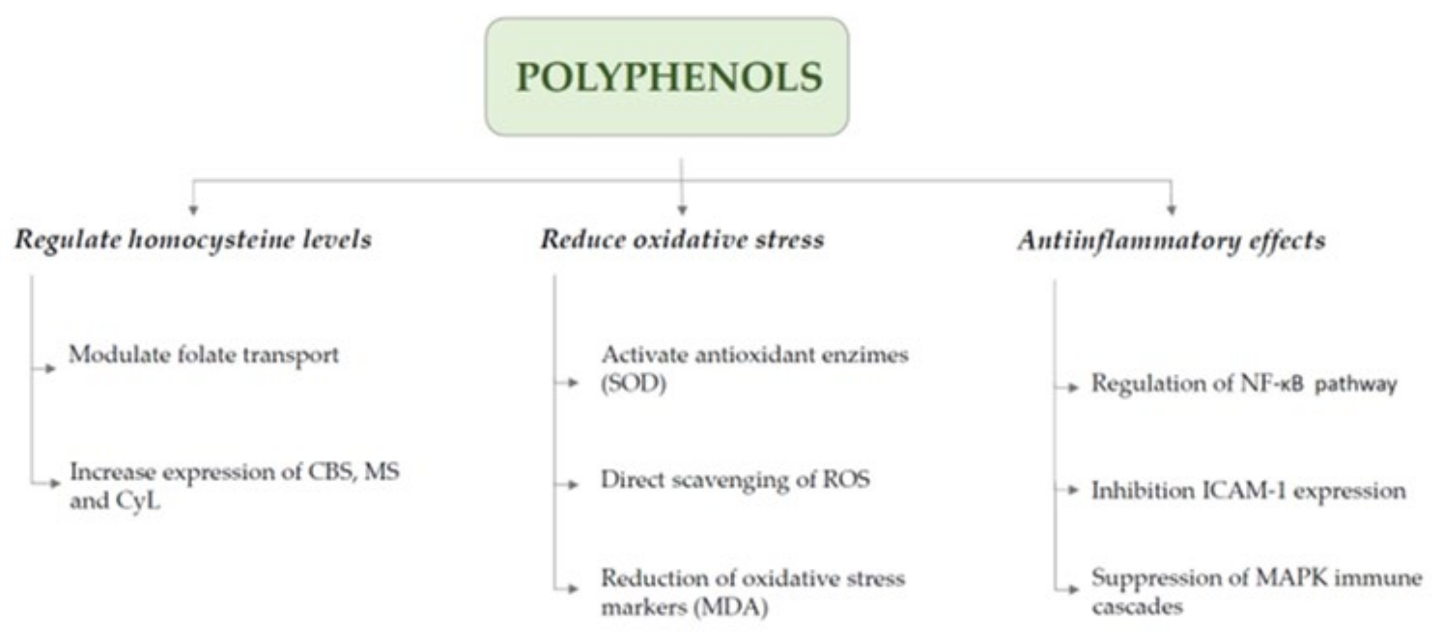 Nutrients 17 00040 g002