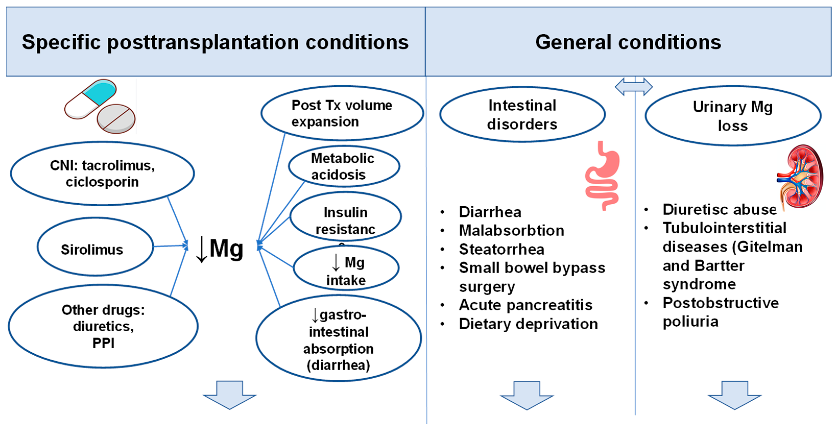 Nutrients 17 00050 g001