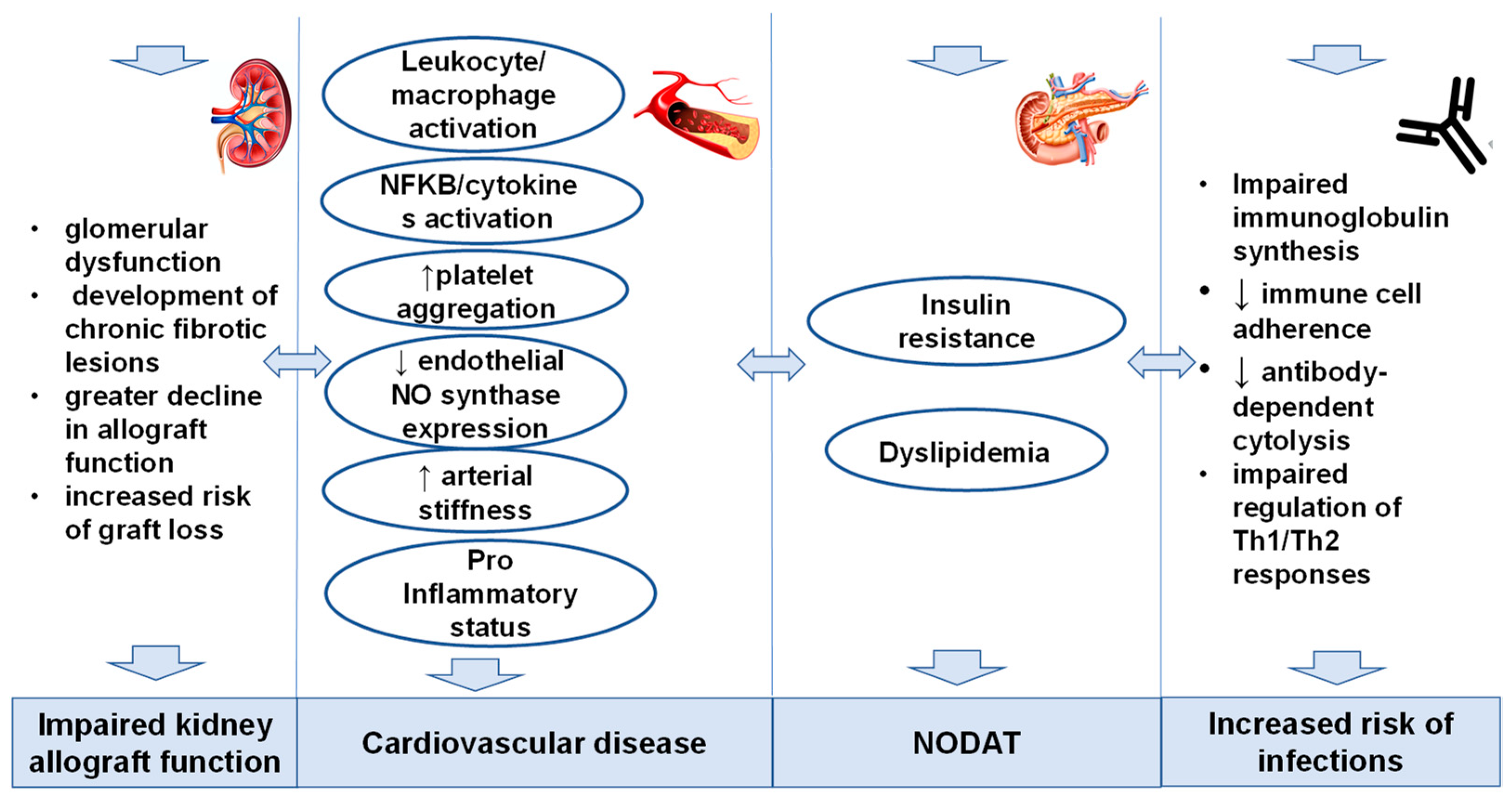 Nutrients 17 00050 g002