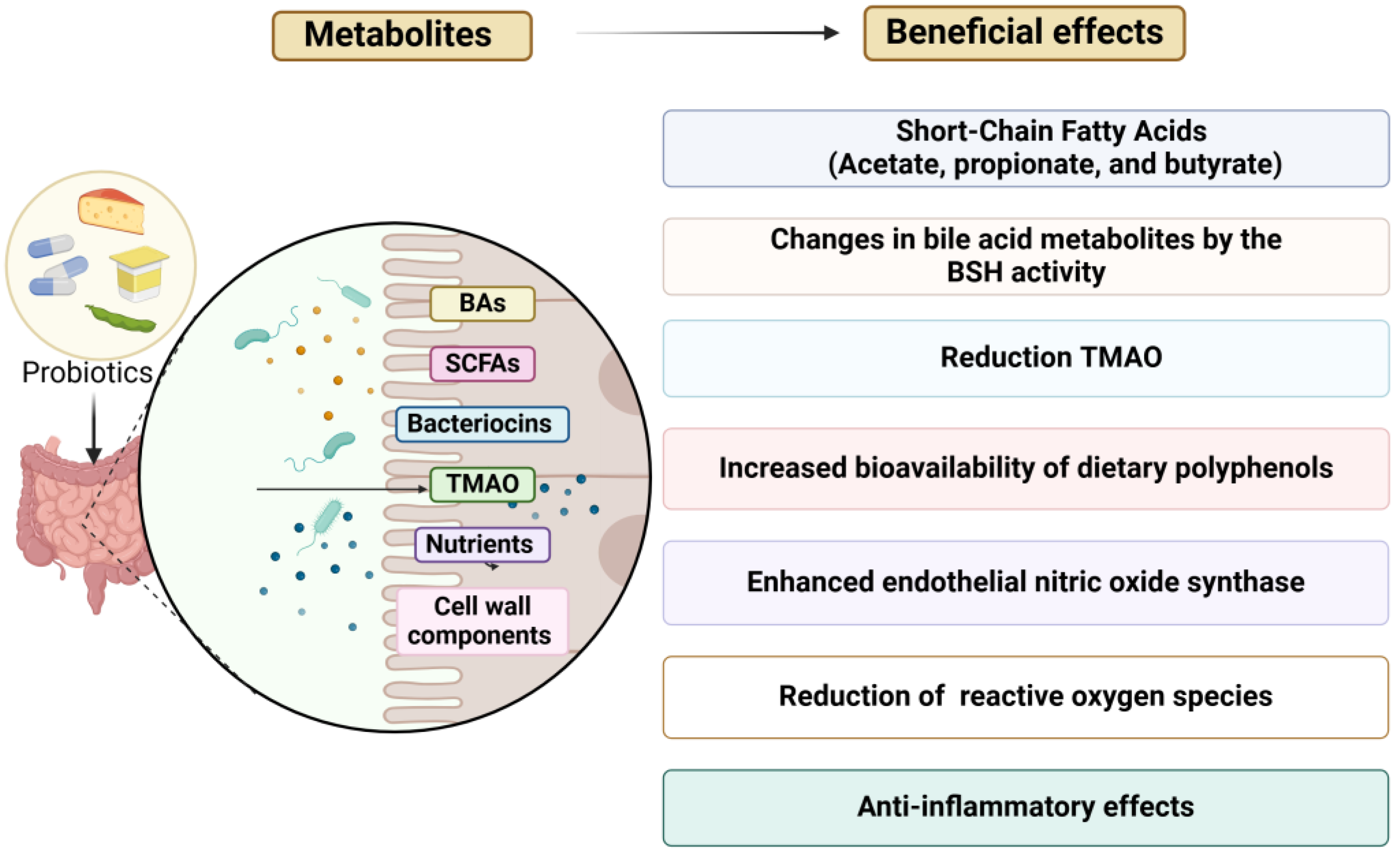 Nutrients 17 00052 g002