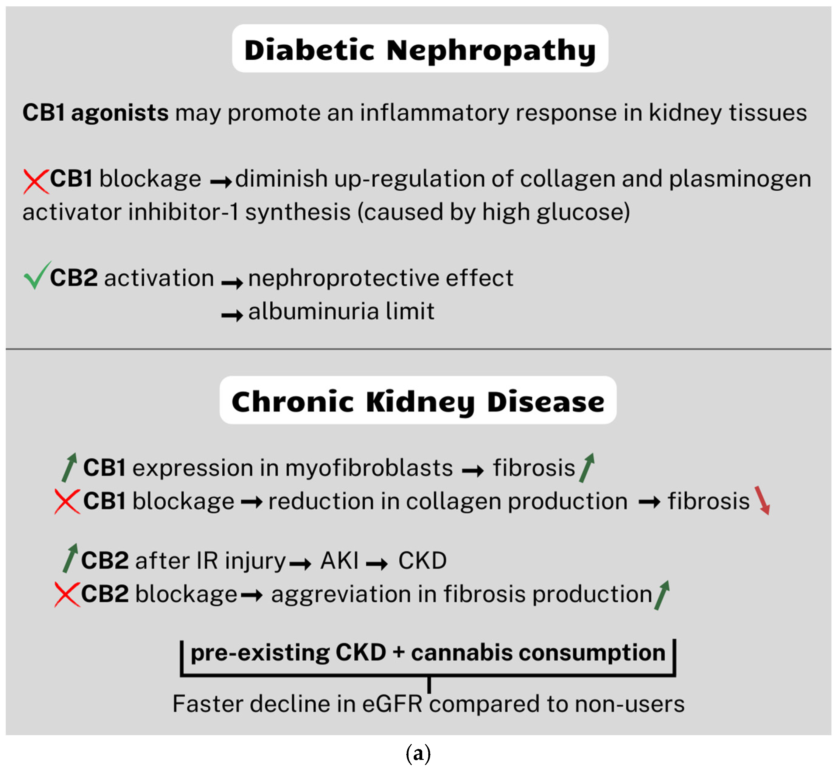 Renal Outcomes and Other Adverse Effects of Cannabinoid