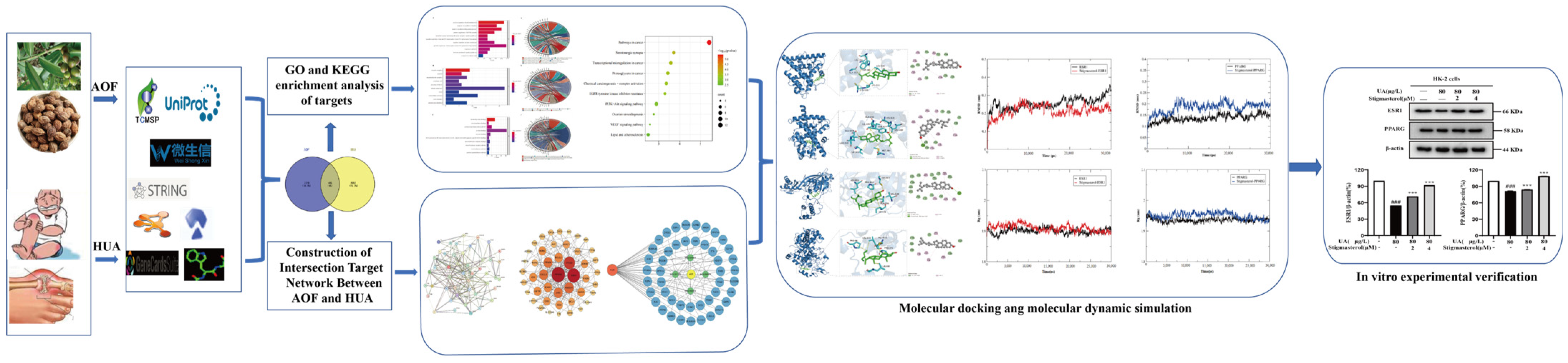 Nutrients 17 00071 g001