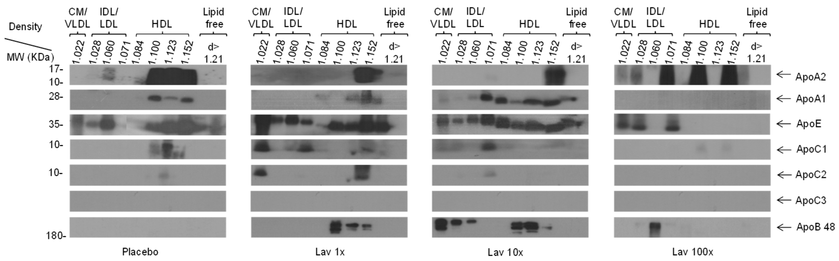 Nutrients 17 00076 g004