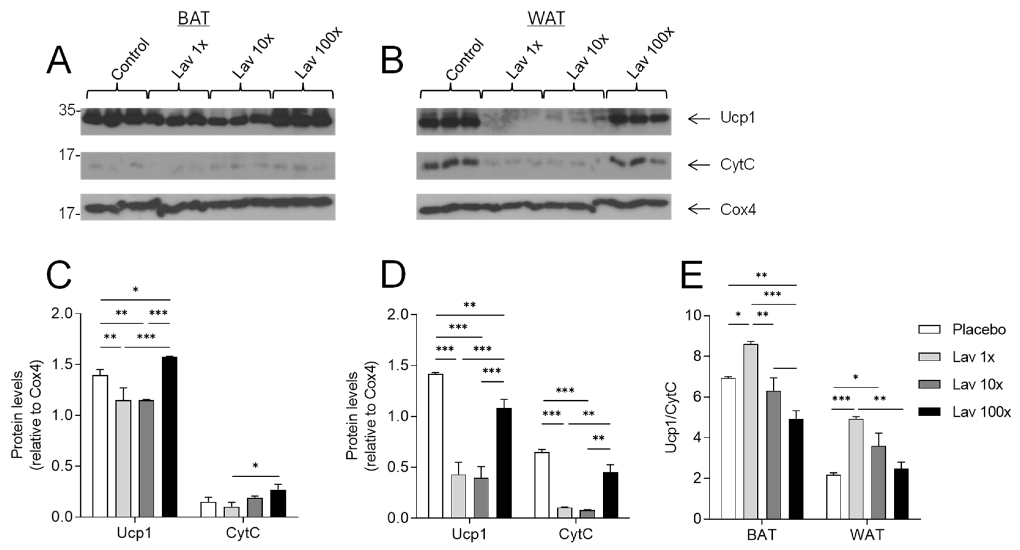 Nutrients 17 00076 g007
